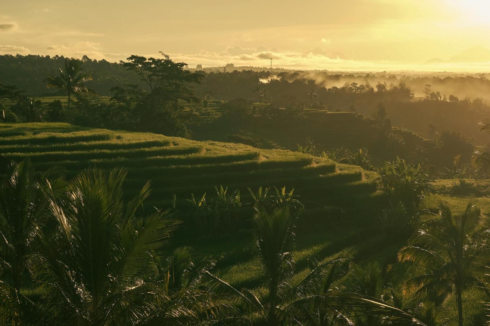 Ubud on day 3, Indonesia