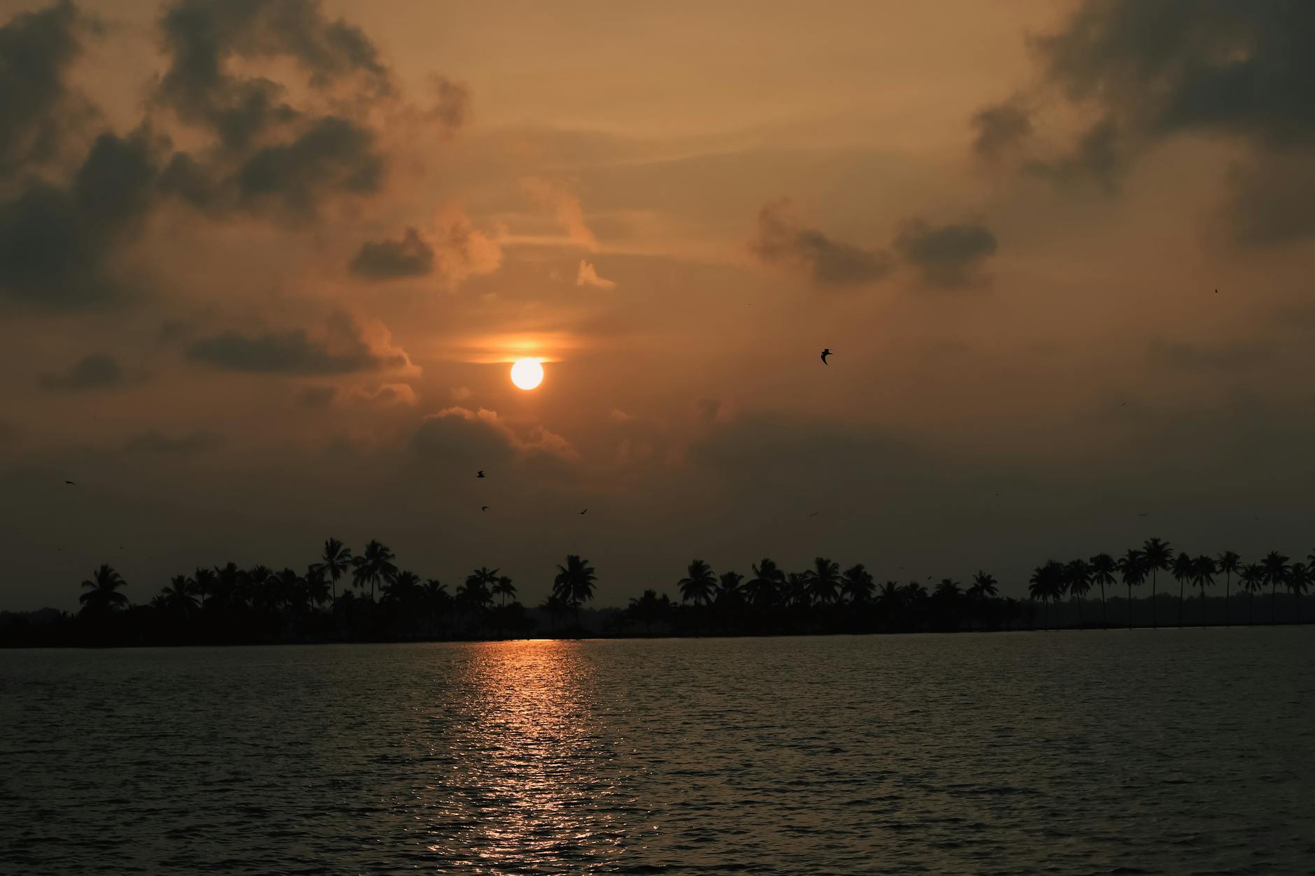 India at golden hour