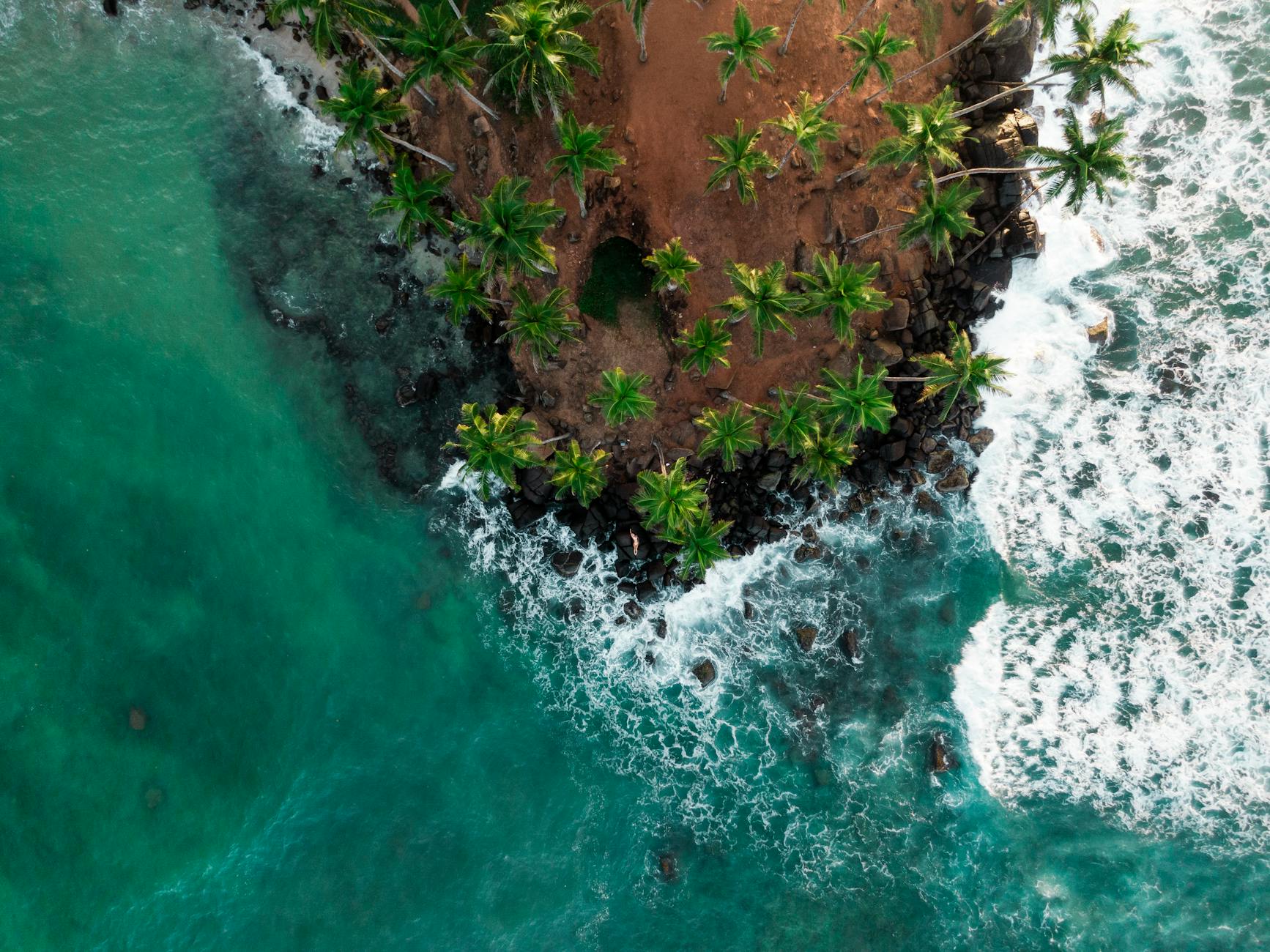 Coconut Tree Hill, Sri Lanka