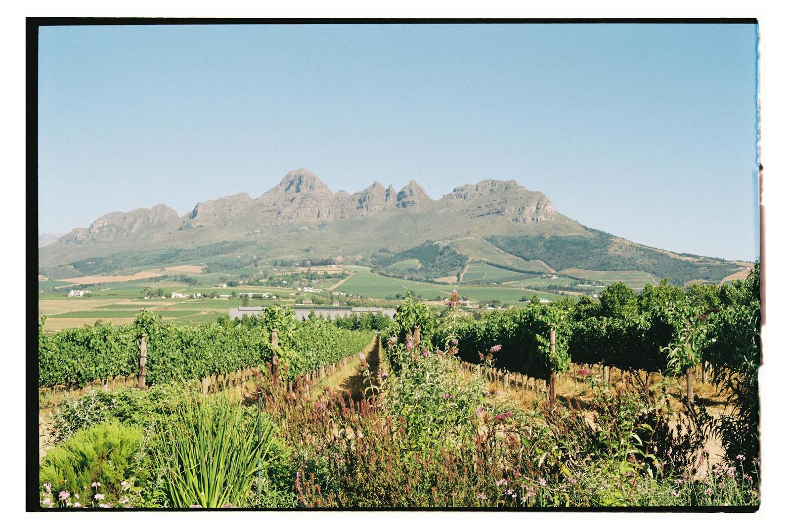 Oudtshoorn To Stellenbosch on day 8, South Africa