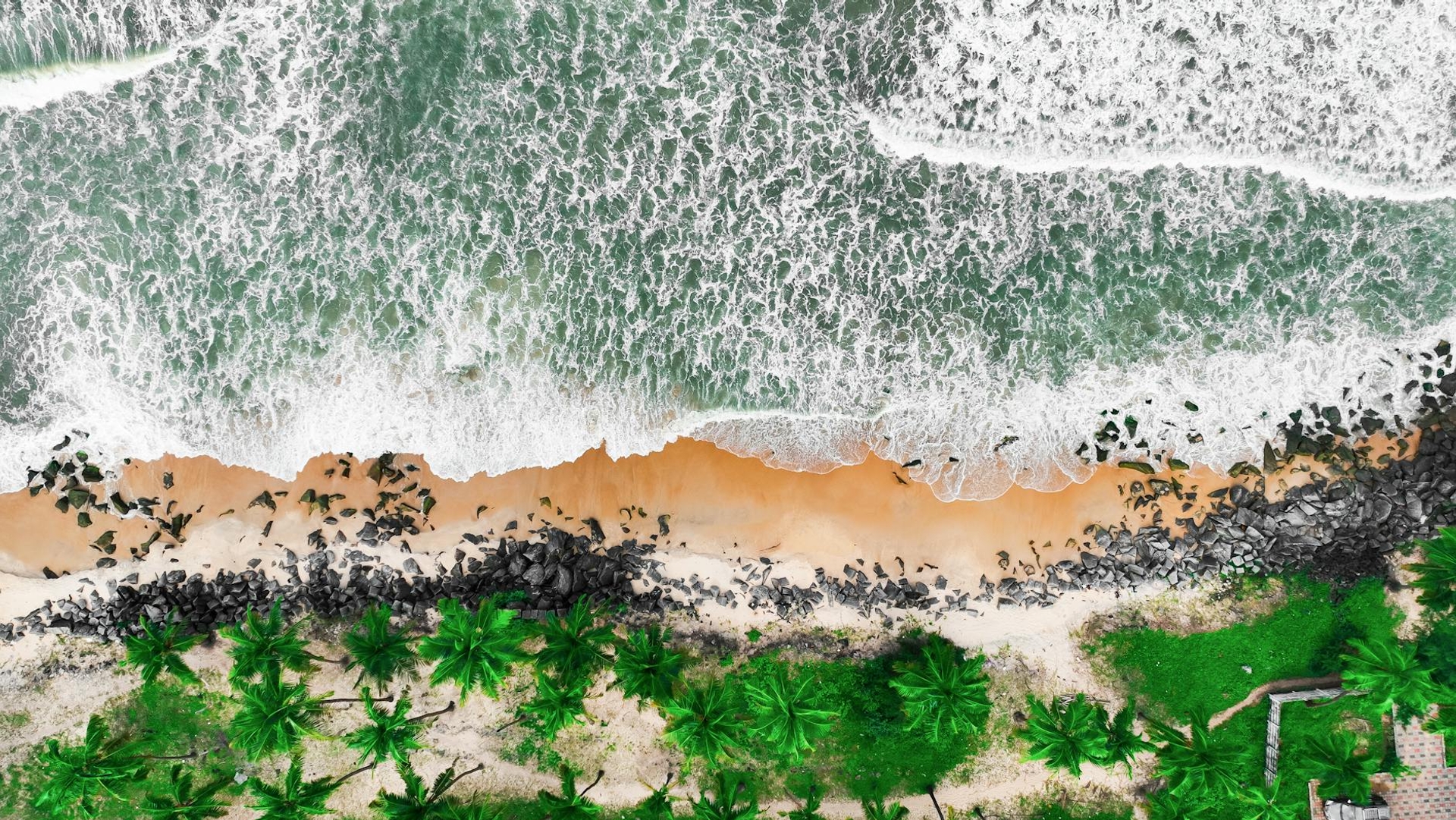 Aerial view of ocean waves breaking on a palm-fringed beach