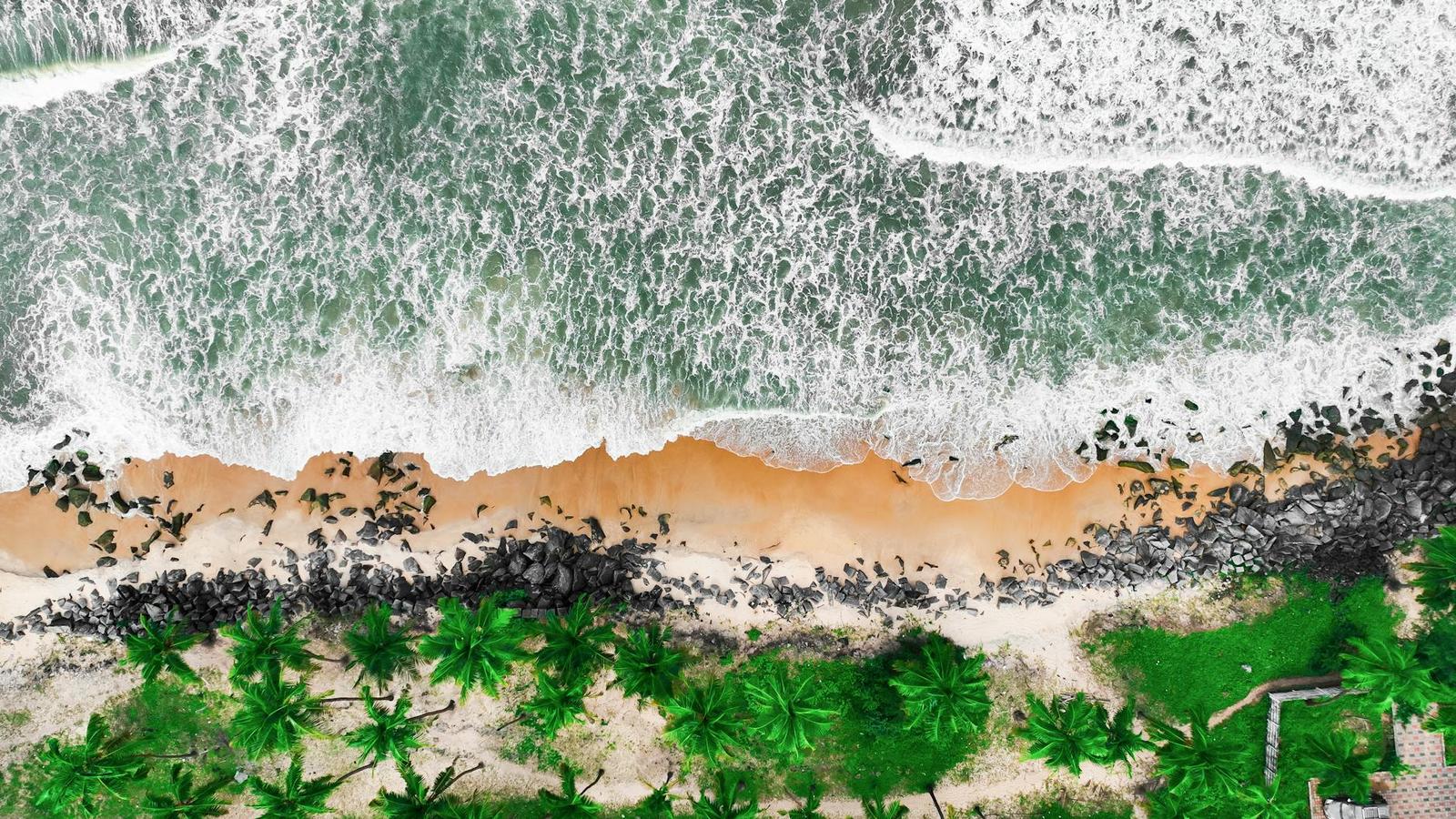 Aerial view of ocean waves breaking on a palm-fringed beach