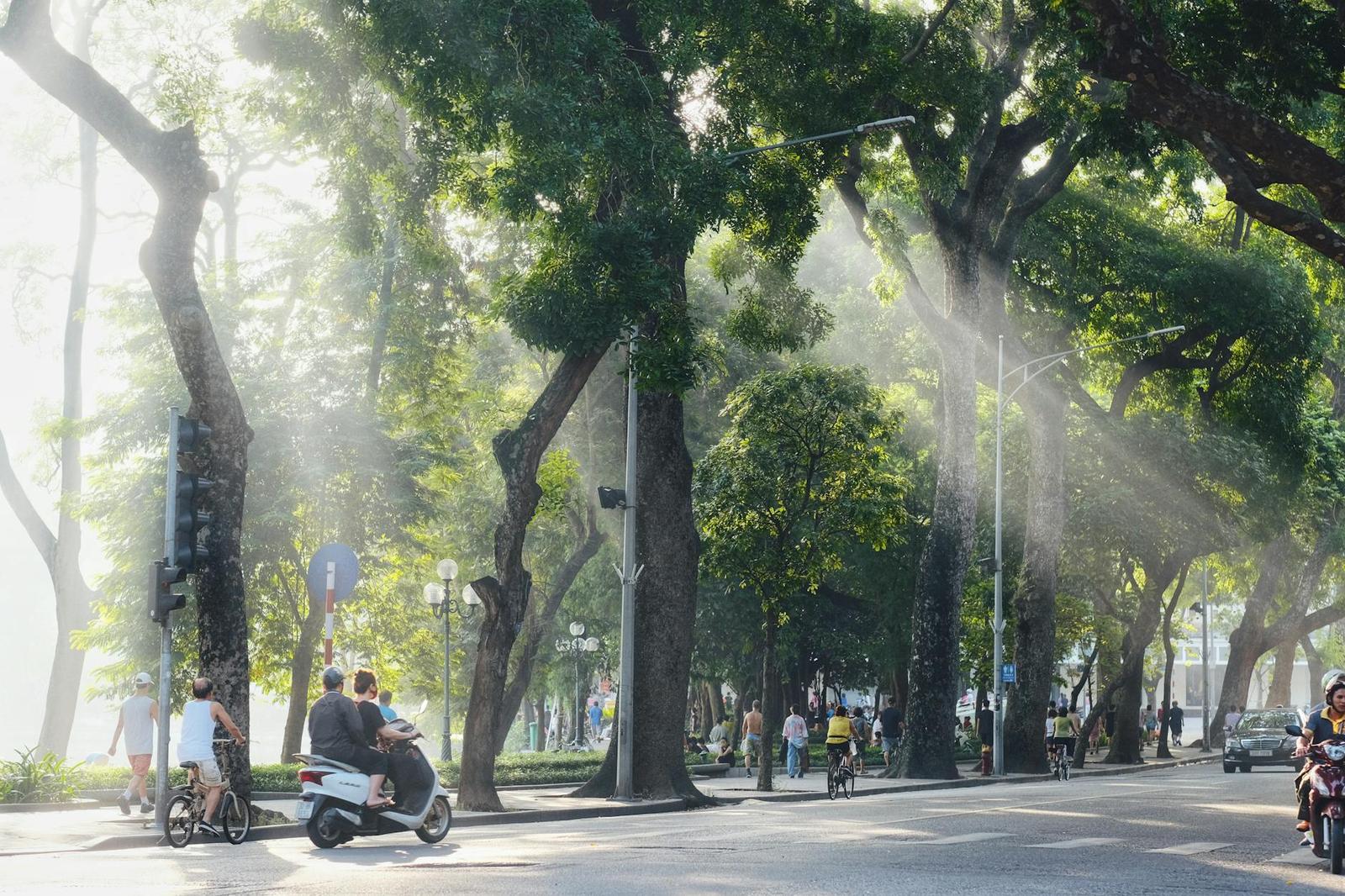 Morning sunlight filters through trees on a vibrant street in Hoàn Kiếm, Hanoi