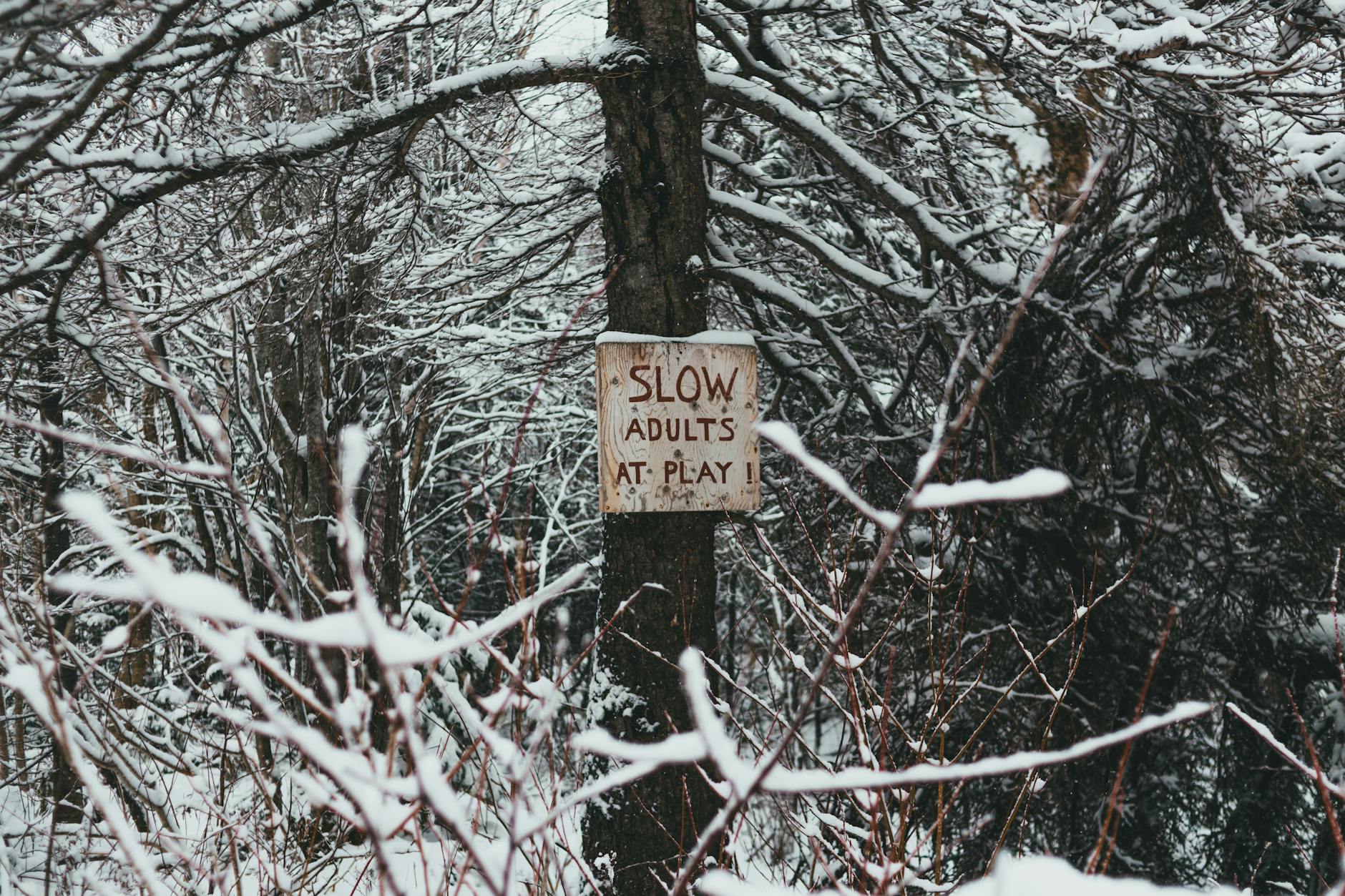 slow — Rovaniemi, Finland