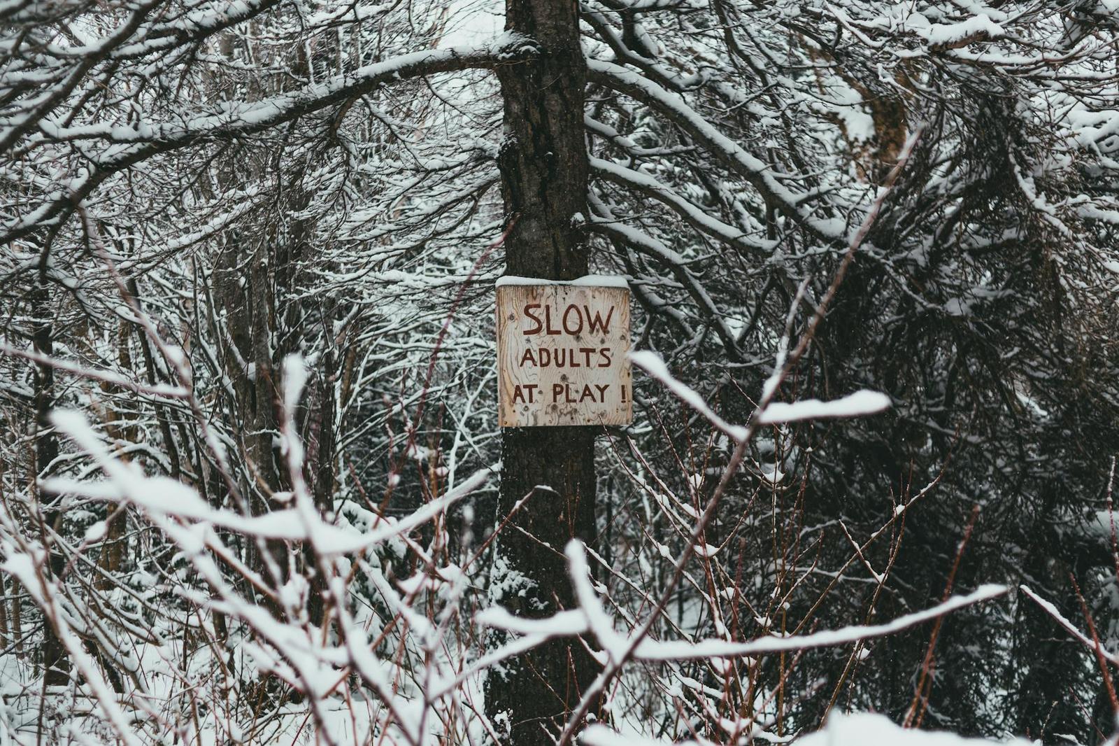 slow — Rovaniemi, Finland