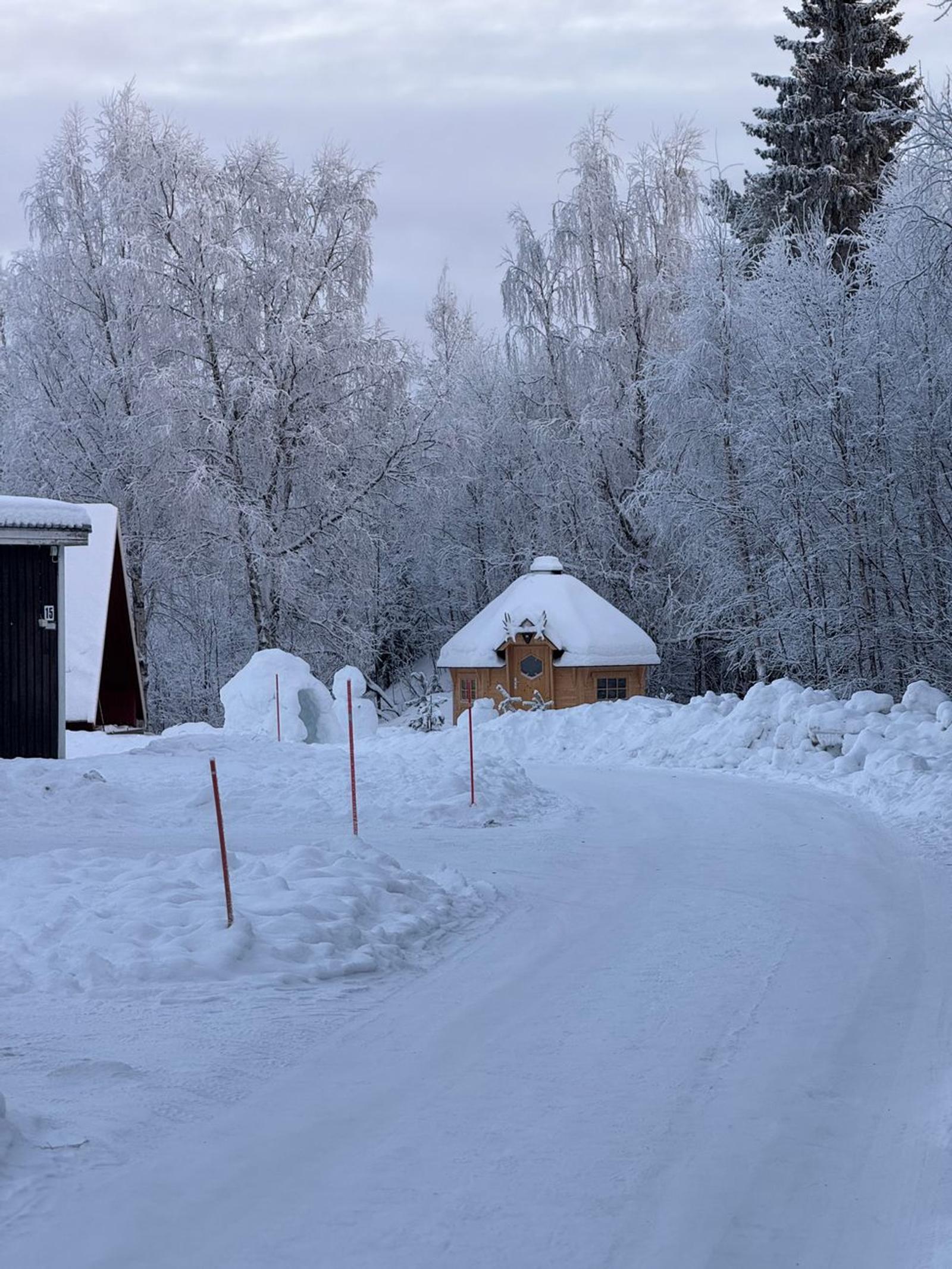 Rovaniemi Helsinki — Denmark