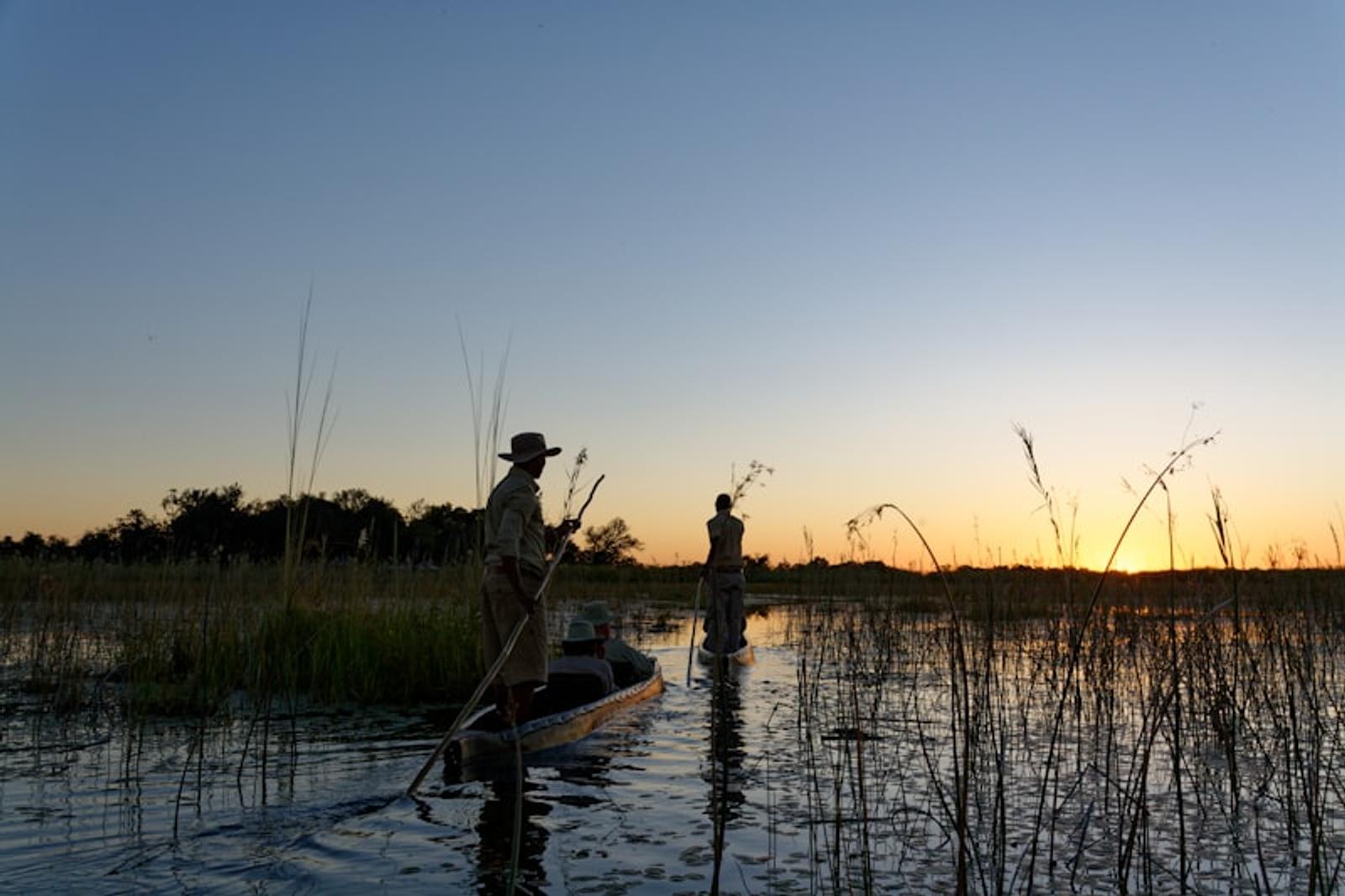 Okavango leopard