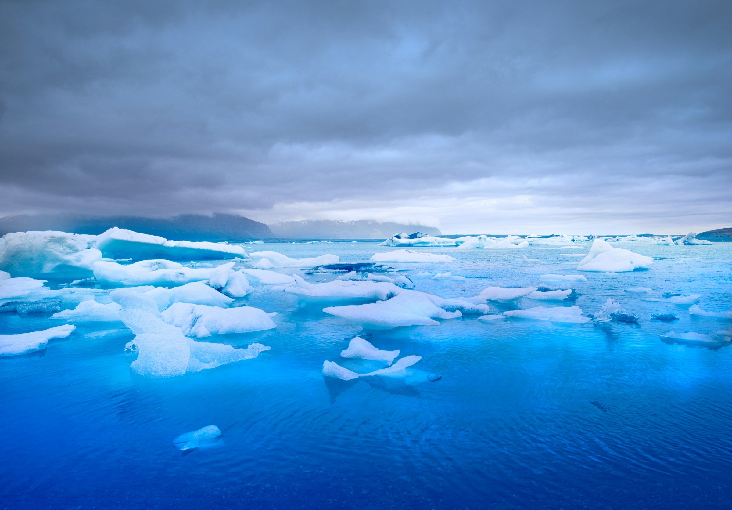 Photo by Vincent Croos on Unsplash