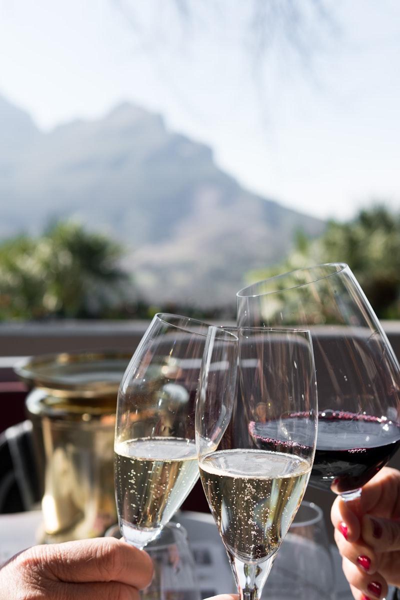 Stellenbosch winery South Africa