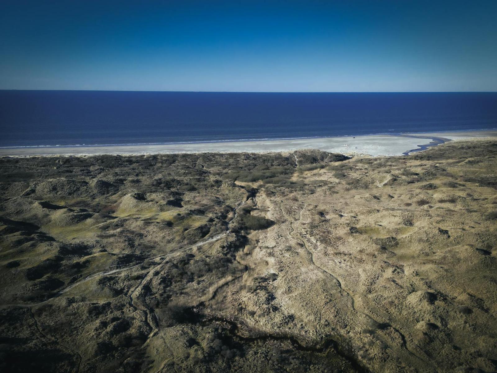 Aerial view of mossy tundra terrain meeting a sandy shoreline and blue sea