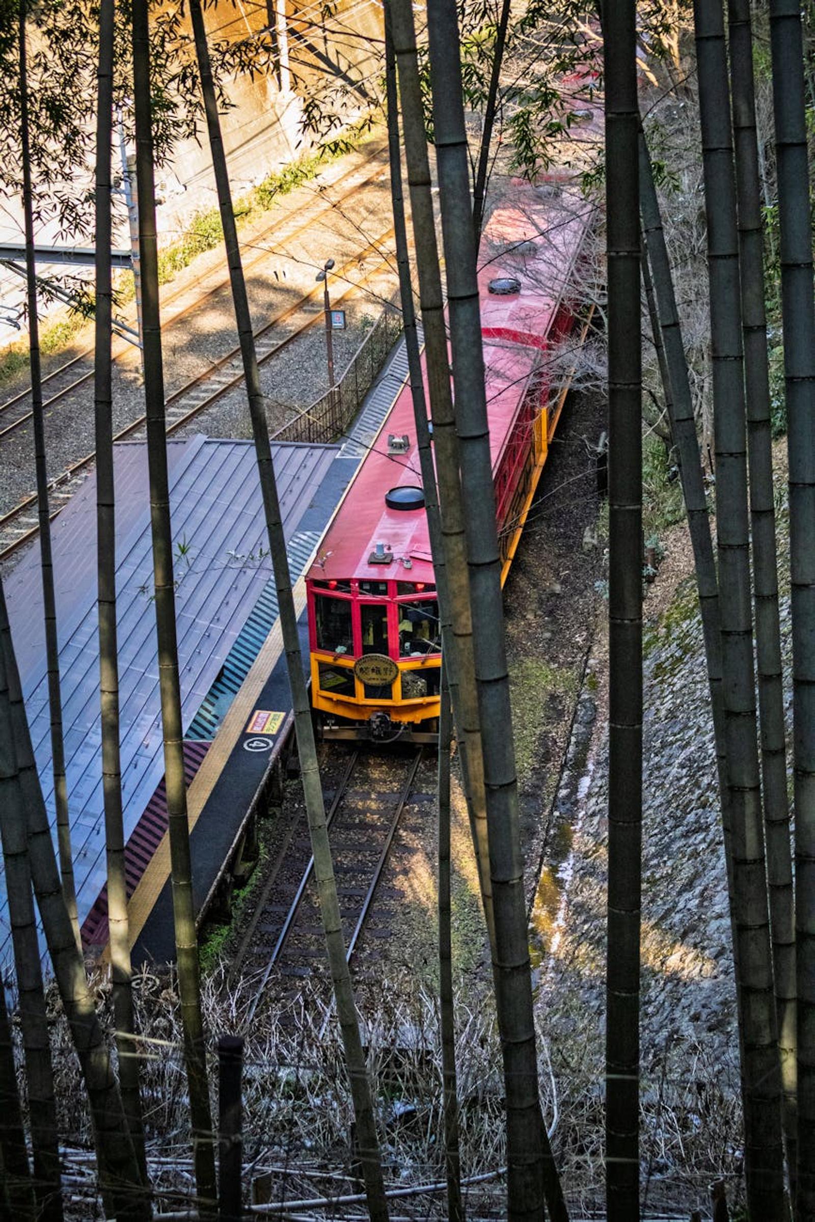 Sagano Romantic Train — Japan