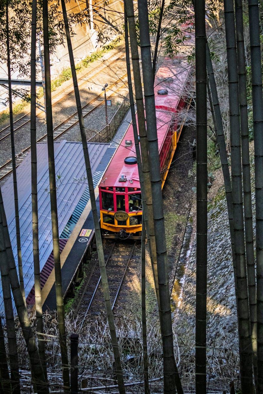 Sagano Romantic Train — Japan