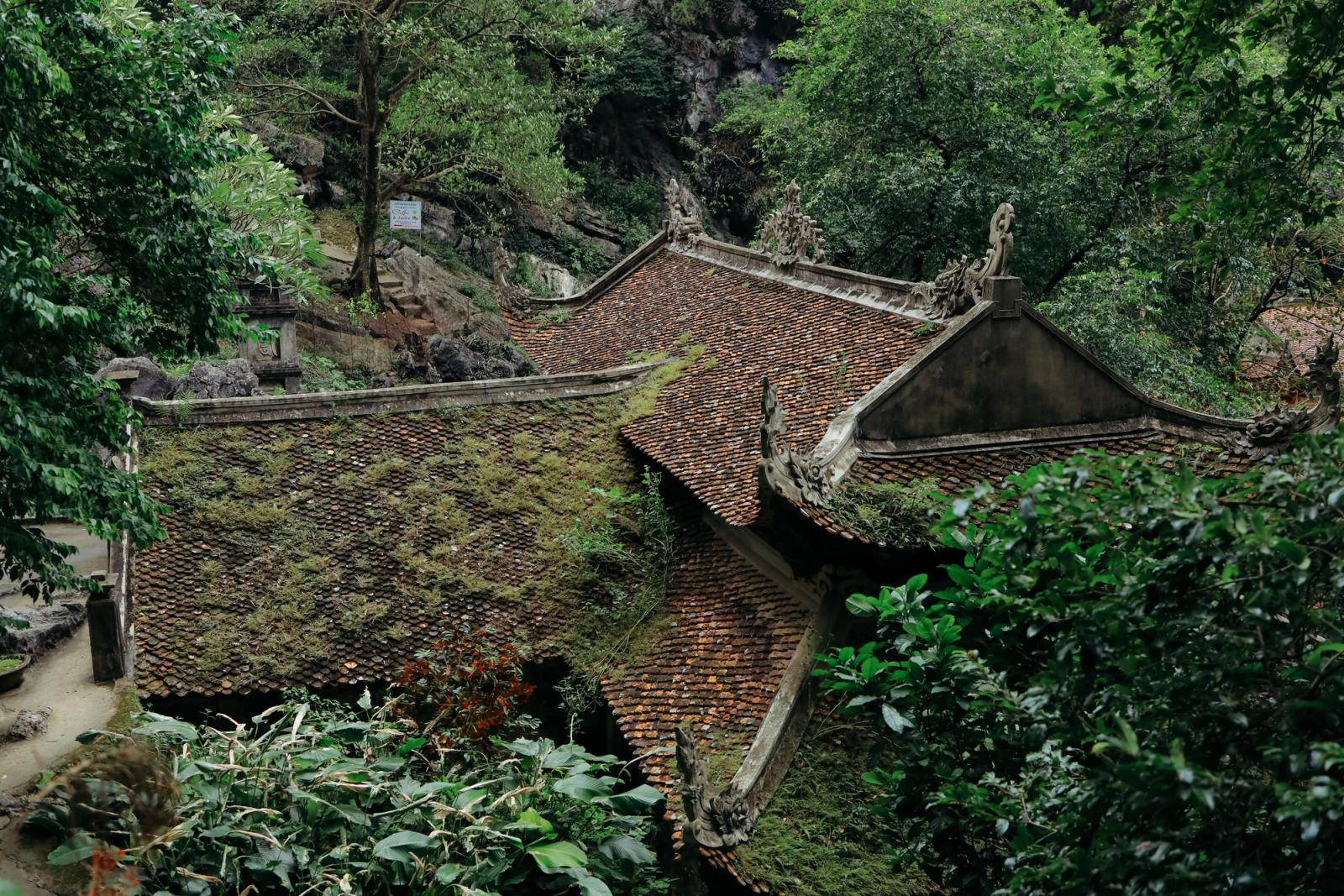 Traditional moss-covered pagoda roof surrounded by lush greenery in Ninh Bình, Vietnam