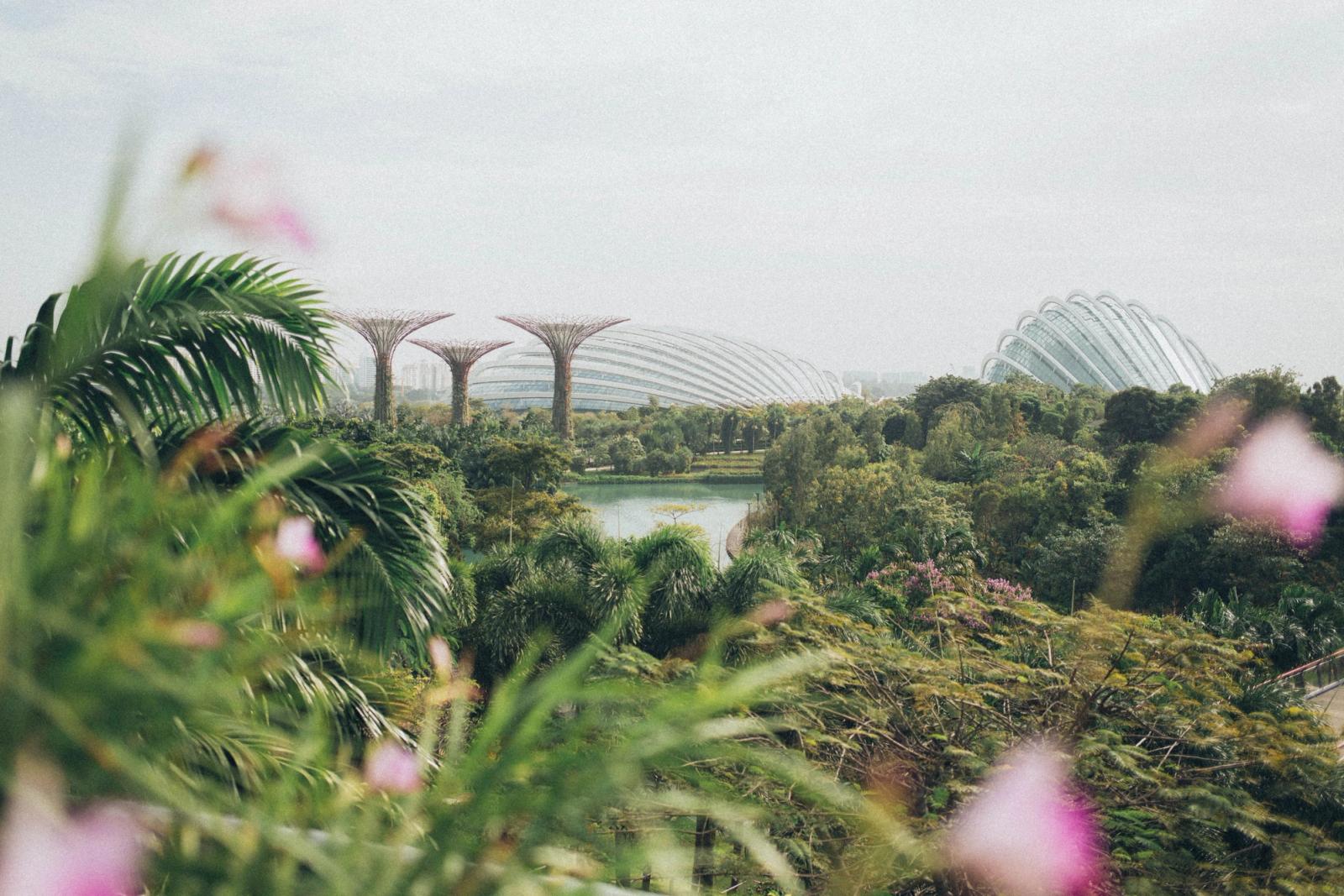 A vibrant view of Gardens by the Bay in Singapore, featuring lush greenery and iconic structures