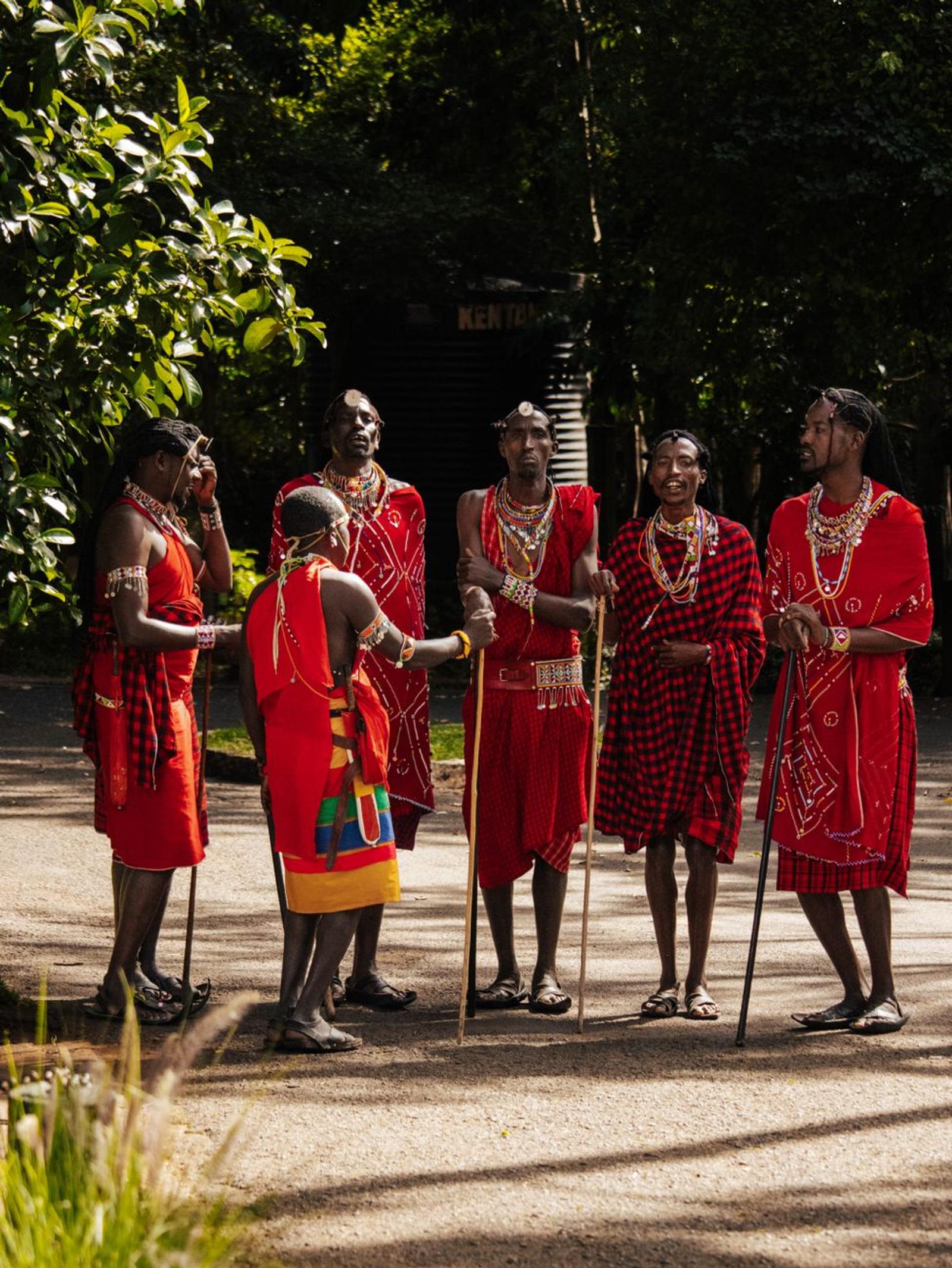 Group of Maasai men in red robes and beaded necklaces chatting under trees