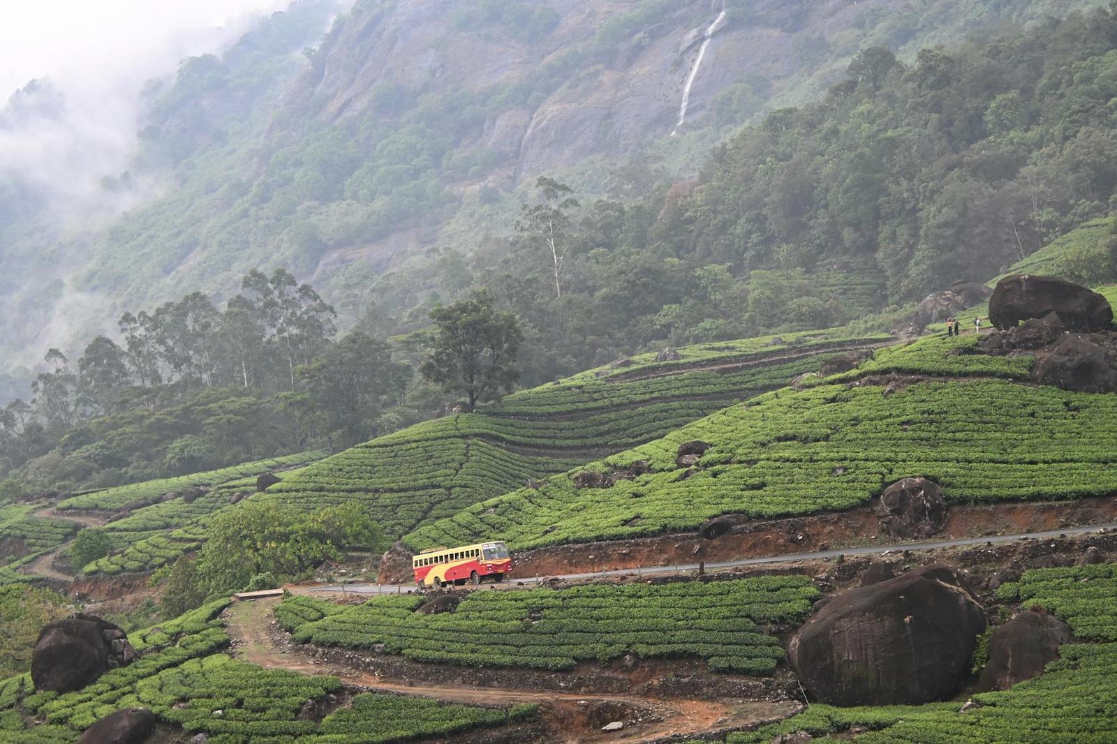 Munnar on day 2, India
