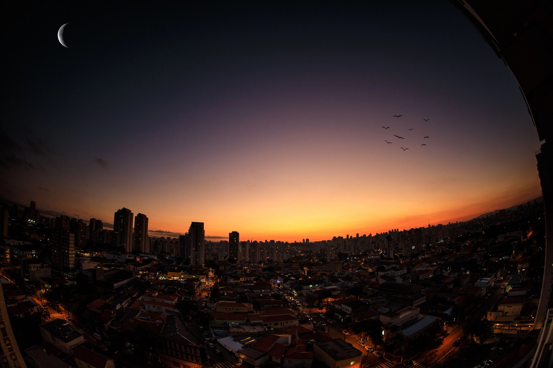 A breathtaking view of São Paulo's skyline at twilight with a crescent moon and birds in flight