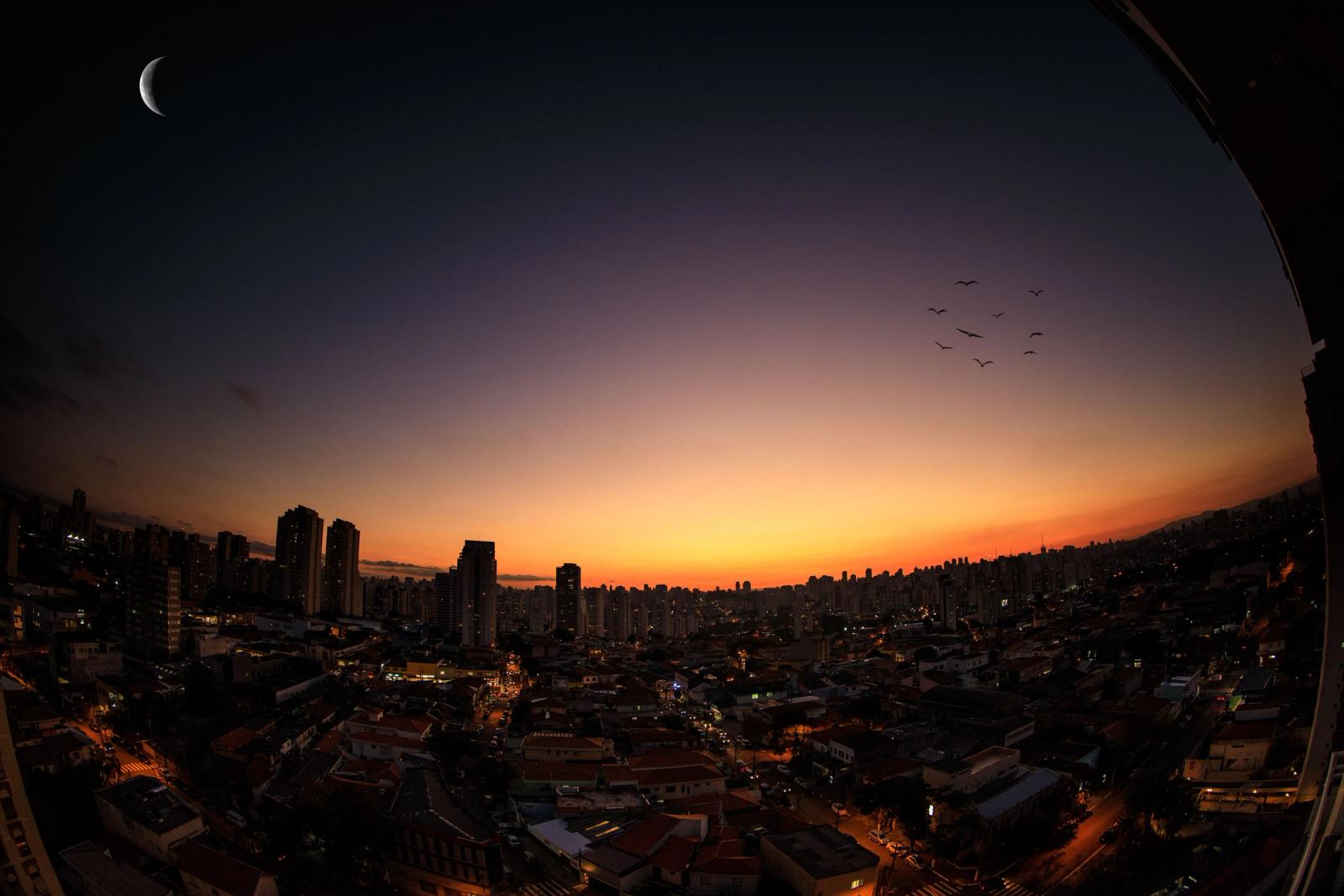 A breathtaking view of São Paulo's skyline at twilight with a crescent moon and birds in flight