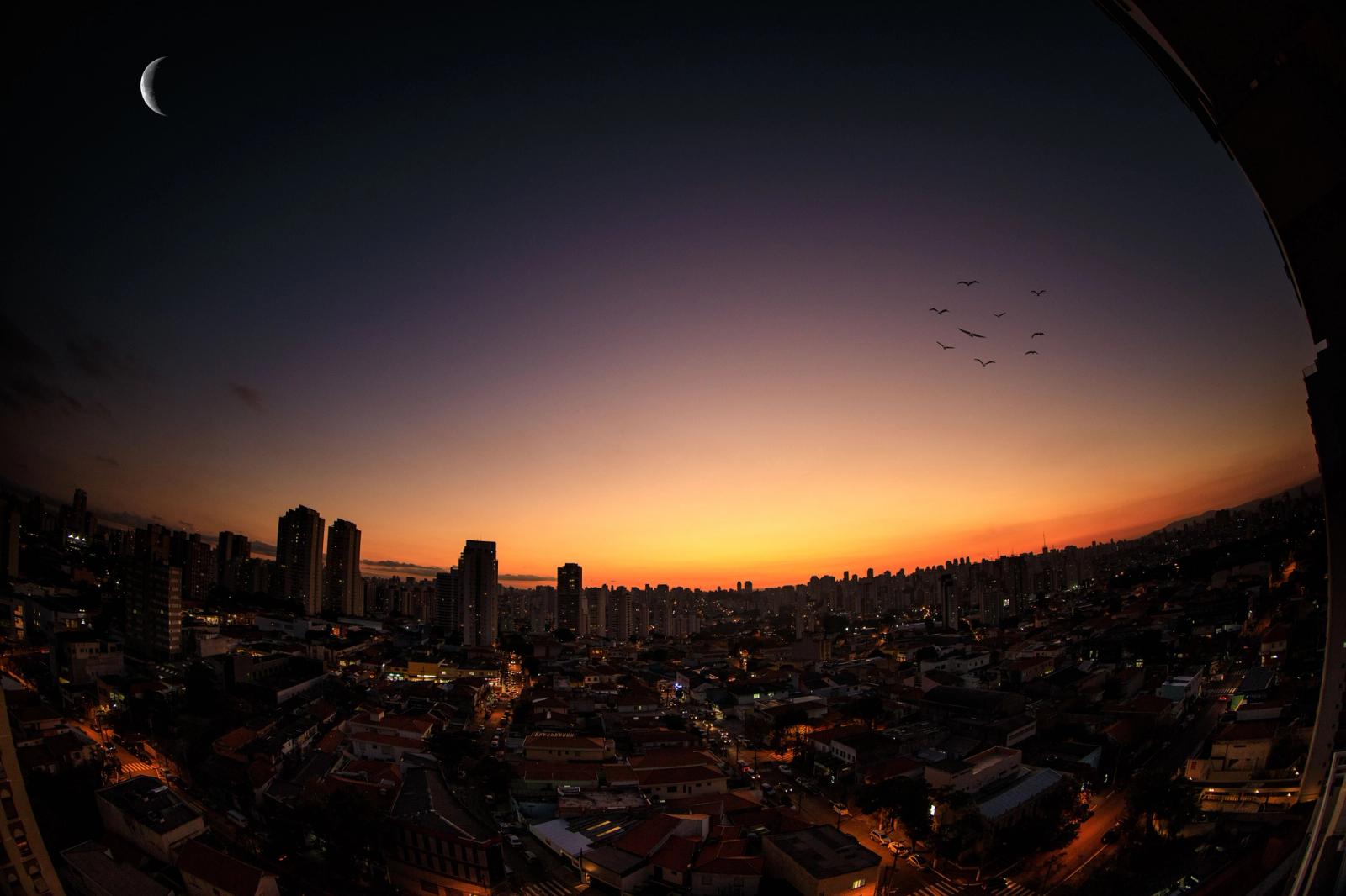 A breathtaking view of São Paulo's skyline at twilight with a crescent moon and birds in flight