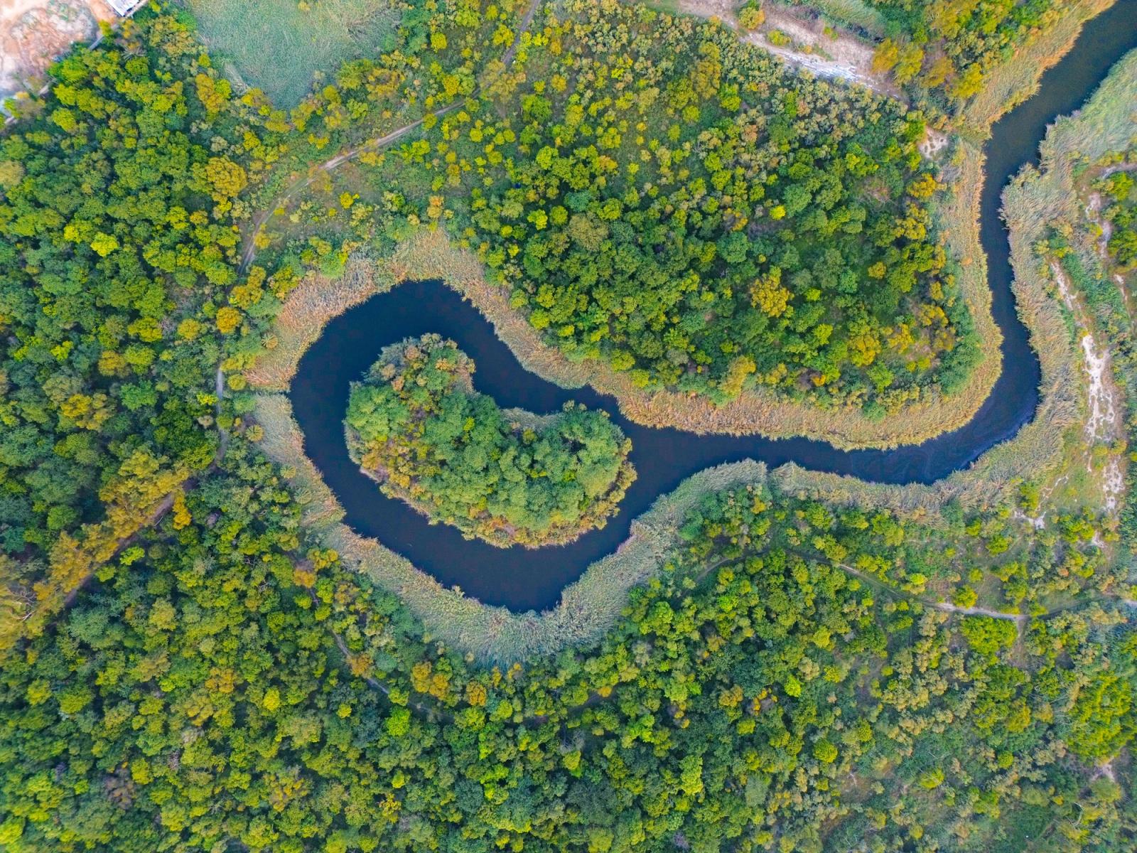 Scenic aerial view of a serpentine river winding through dense forest in India, showcasing vibrant summer greenery