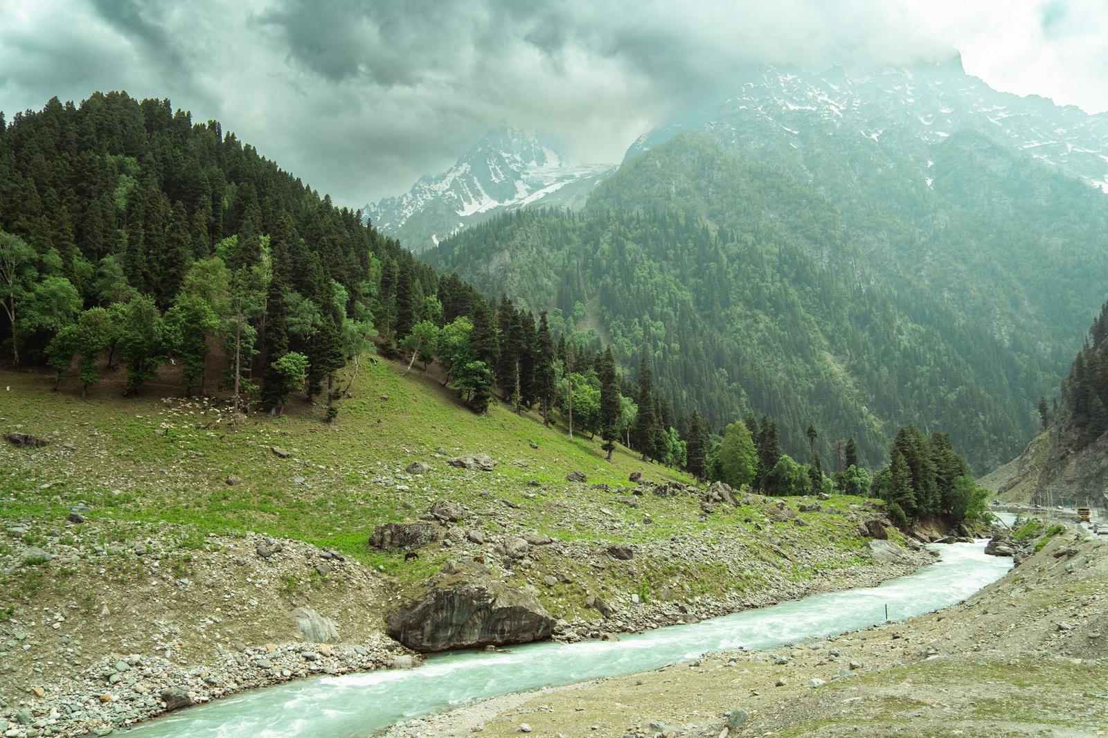Thajiwas — Sonmarg, India
