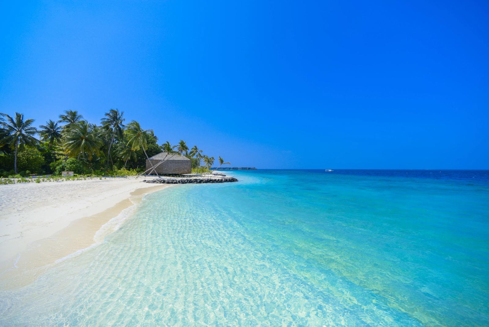Crystal clear waters and palm trees on a tranquil Maldives beach