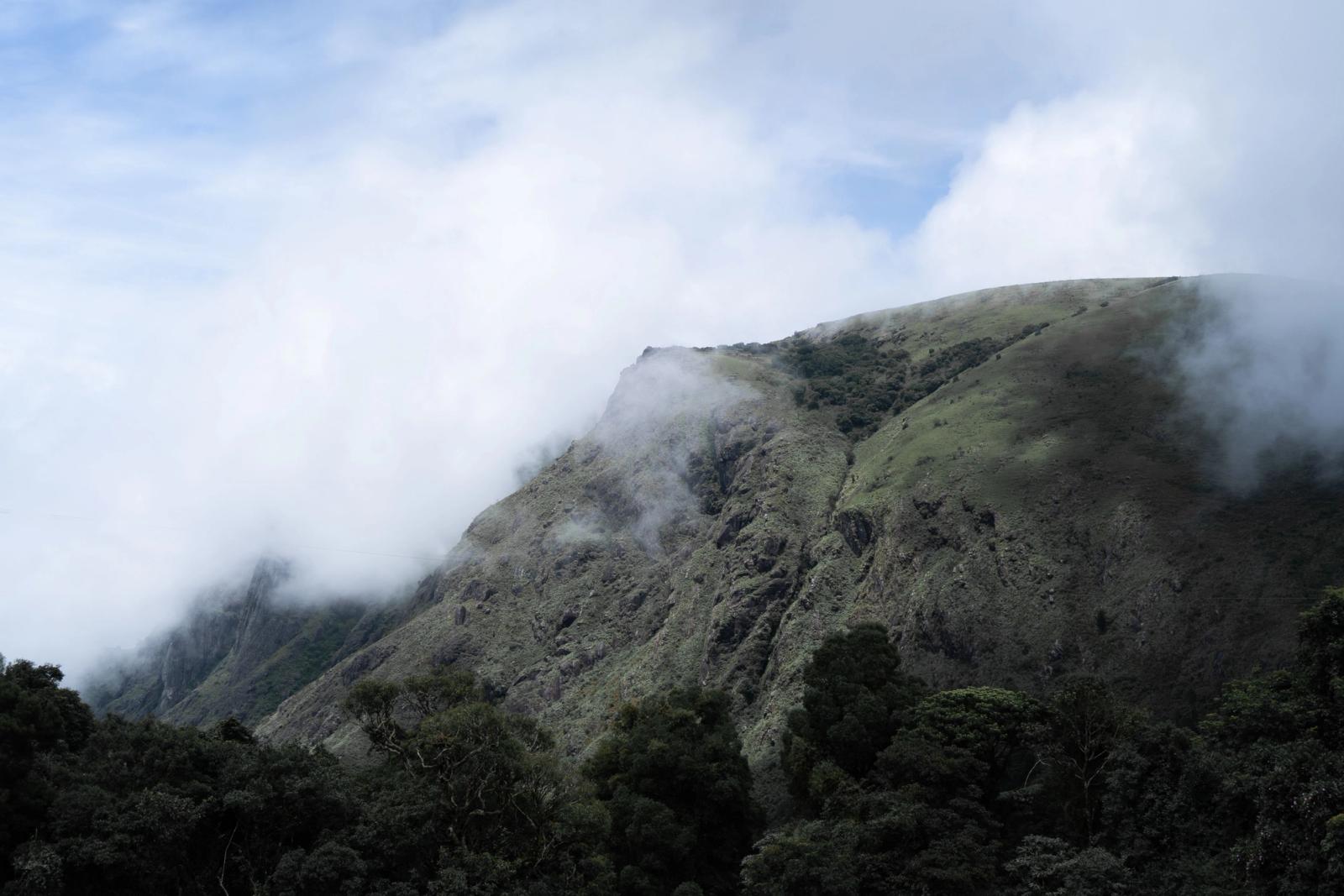 Scenic view of misty mountains and lush greenery in Ooty, Tamil Nadu, India
