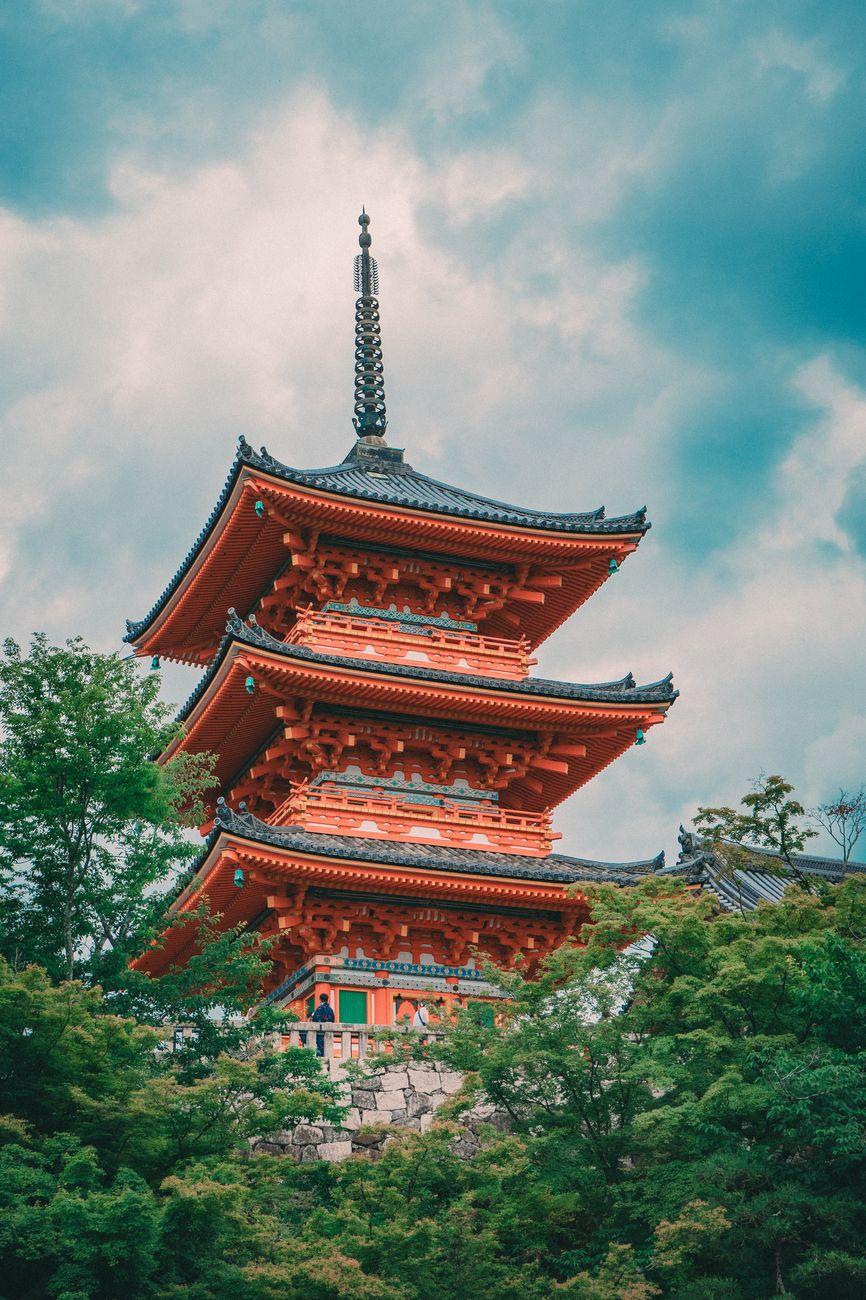 Full Kyoto Sightseeing — Japan