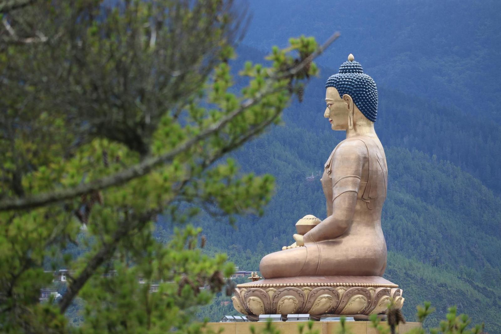 A large seated Buddha statue viewed in profile against forested hills