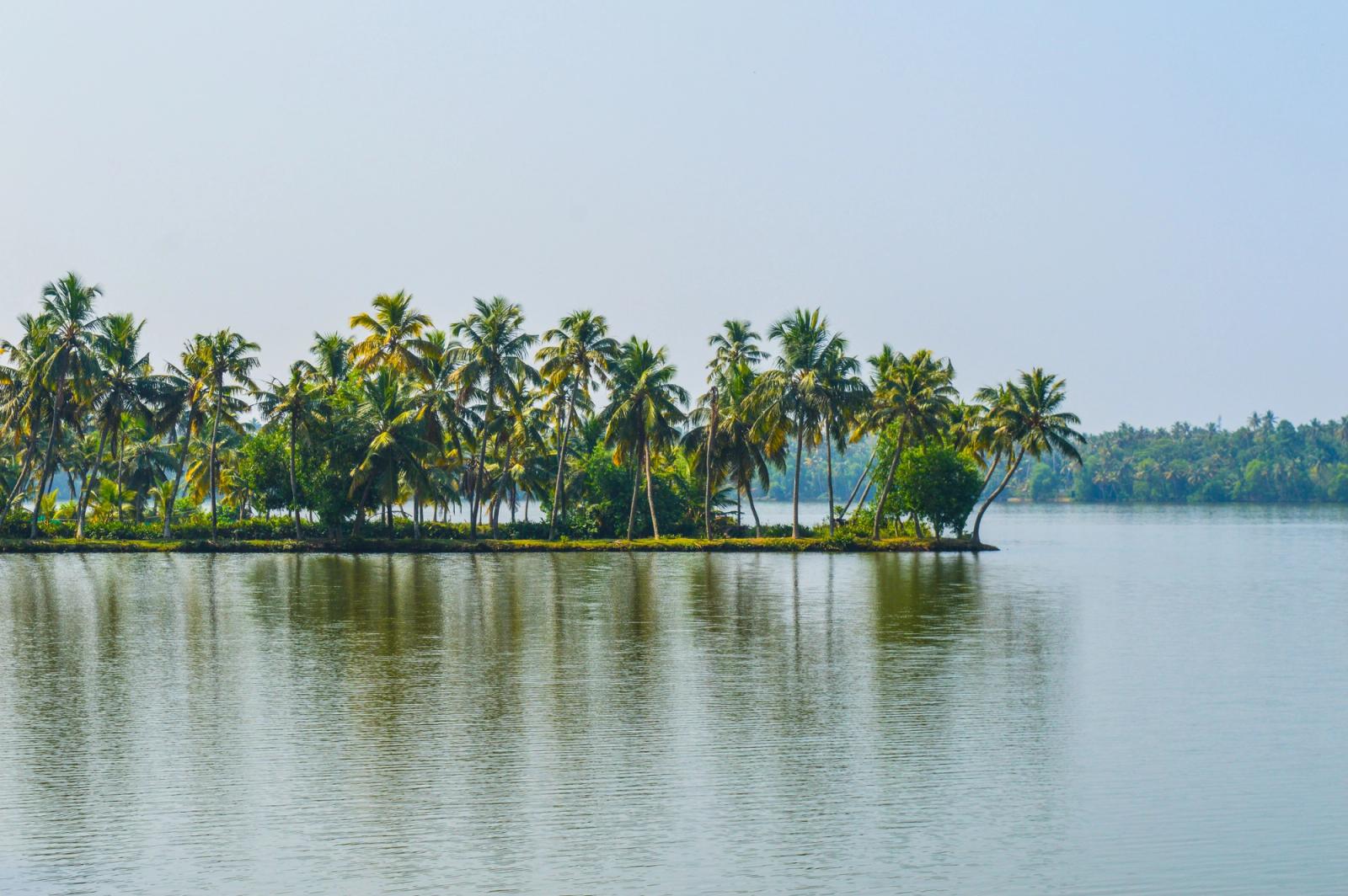 A serene tropical island with palm trees reflecting on a calm lake under a clear blue sky