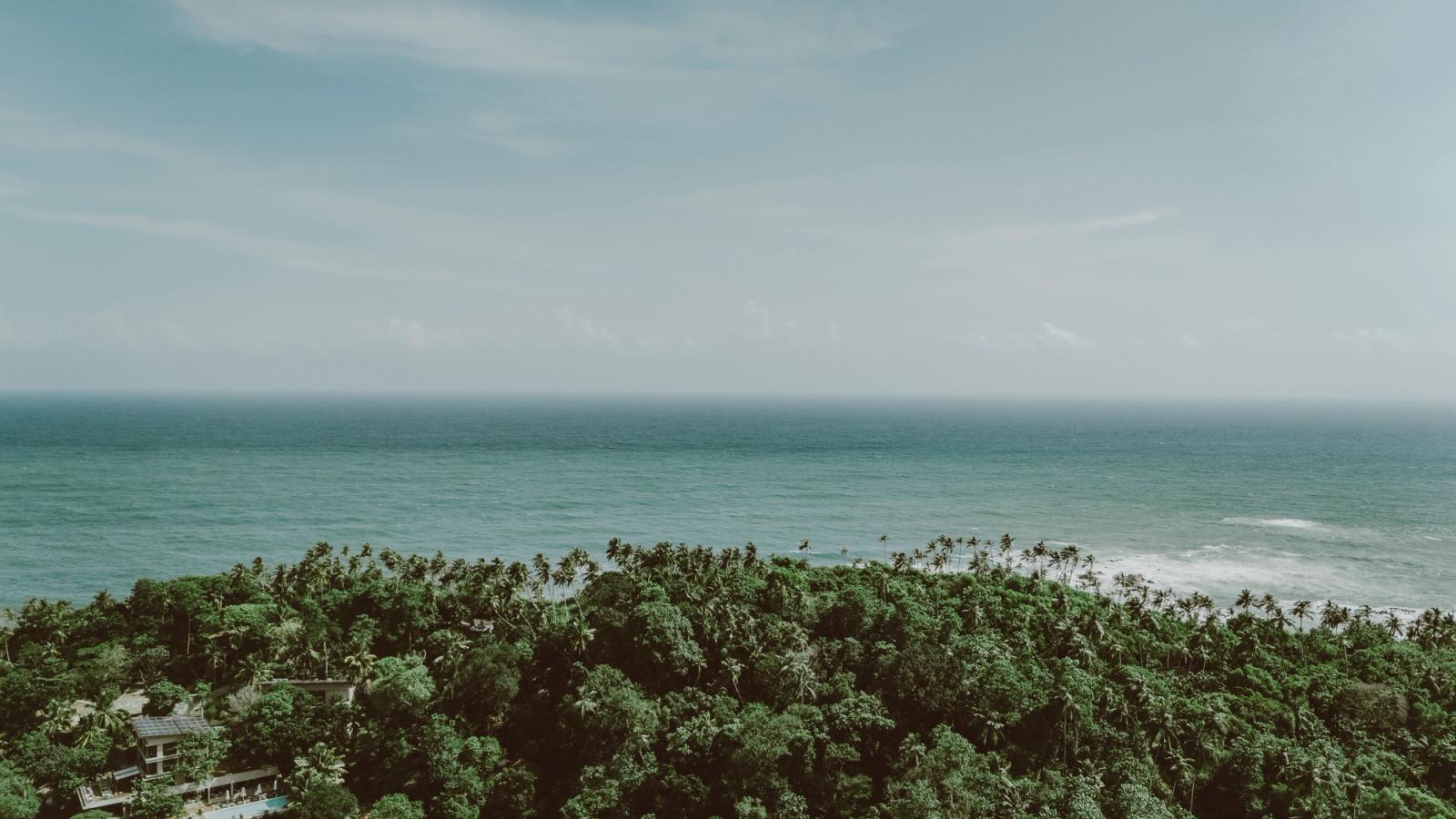 A breathtaking aerial view of a lush forest and blue ocean meeting the horizon in Sri Lanka