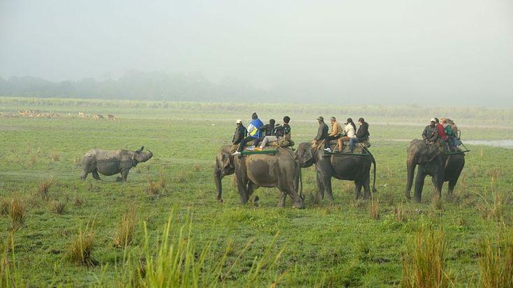 Kaziranga safari extension