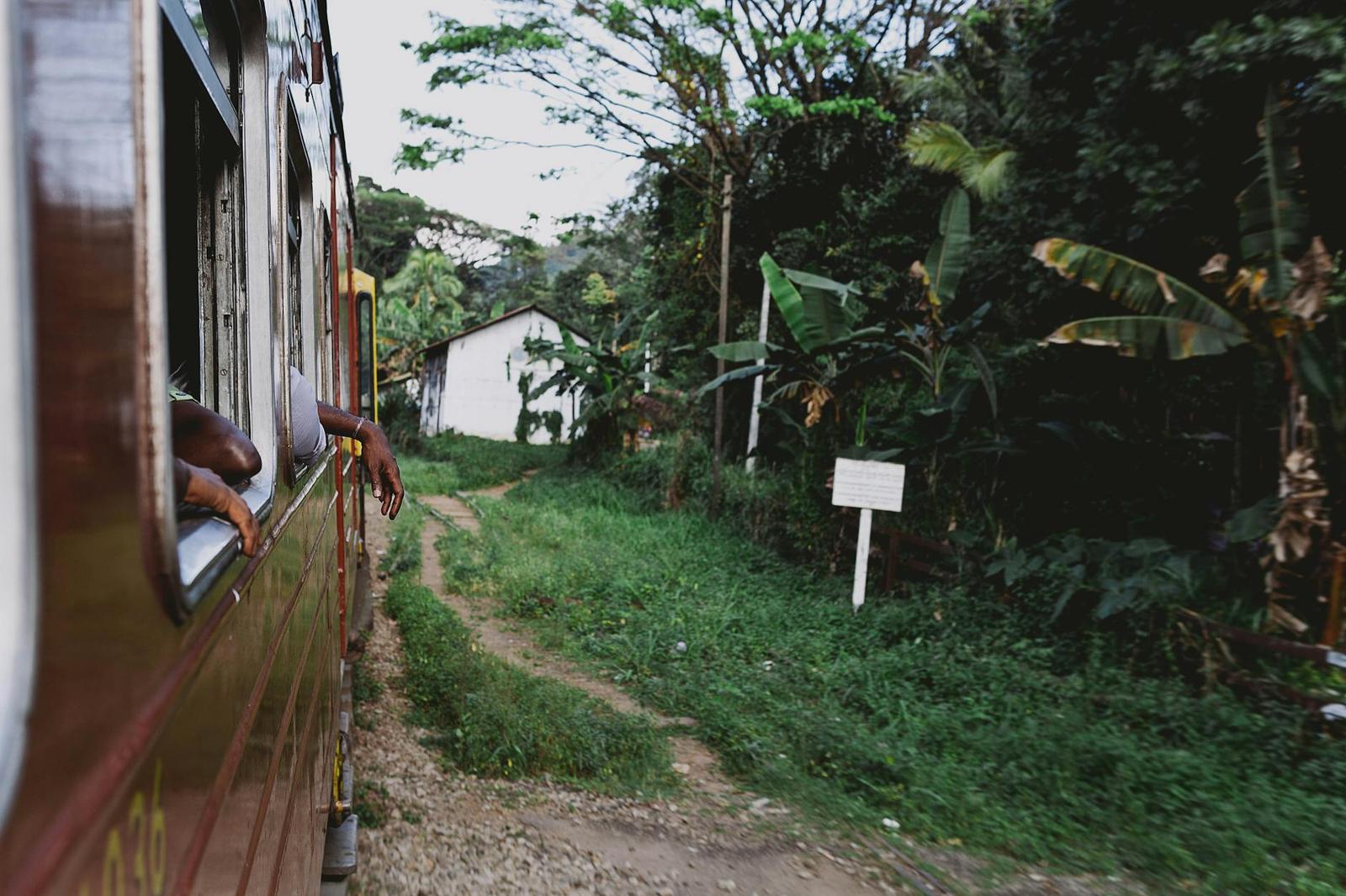 Day Excursion on day 3, Sri Lanka