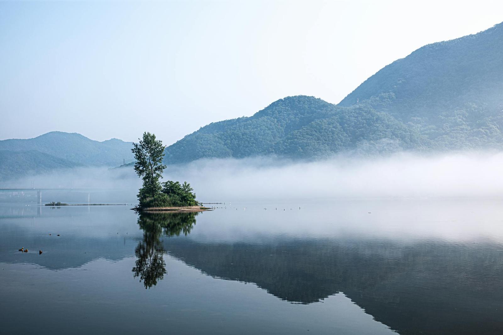 Nami Island & Garden Of Morning Calm, South Korea