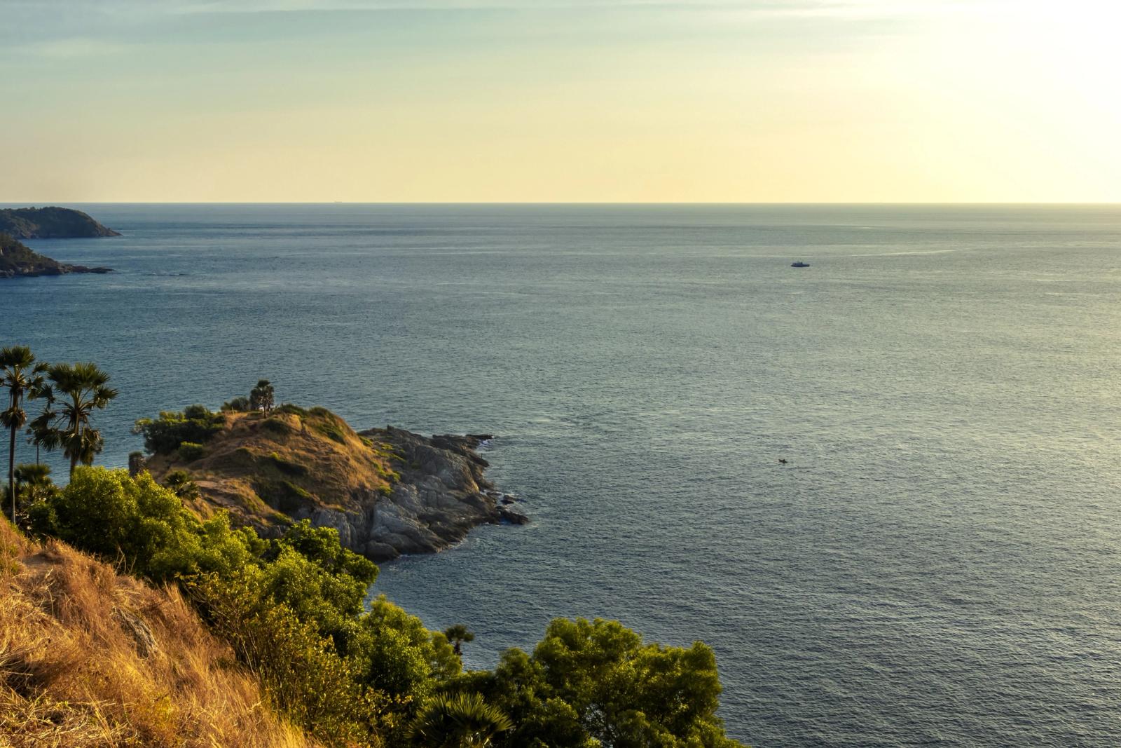 Rocky headland with palm trees overlooking a still sea at sunset