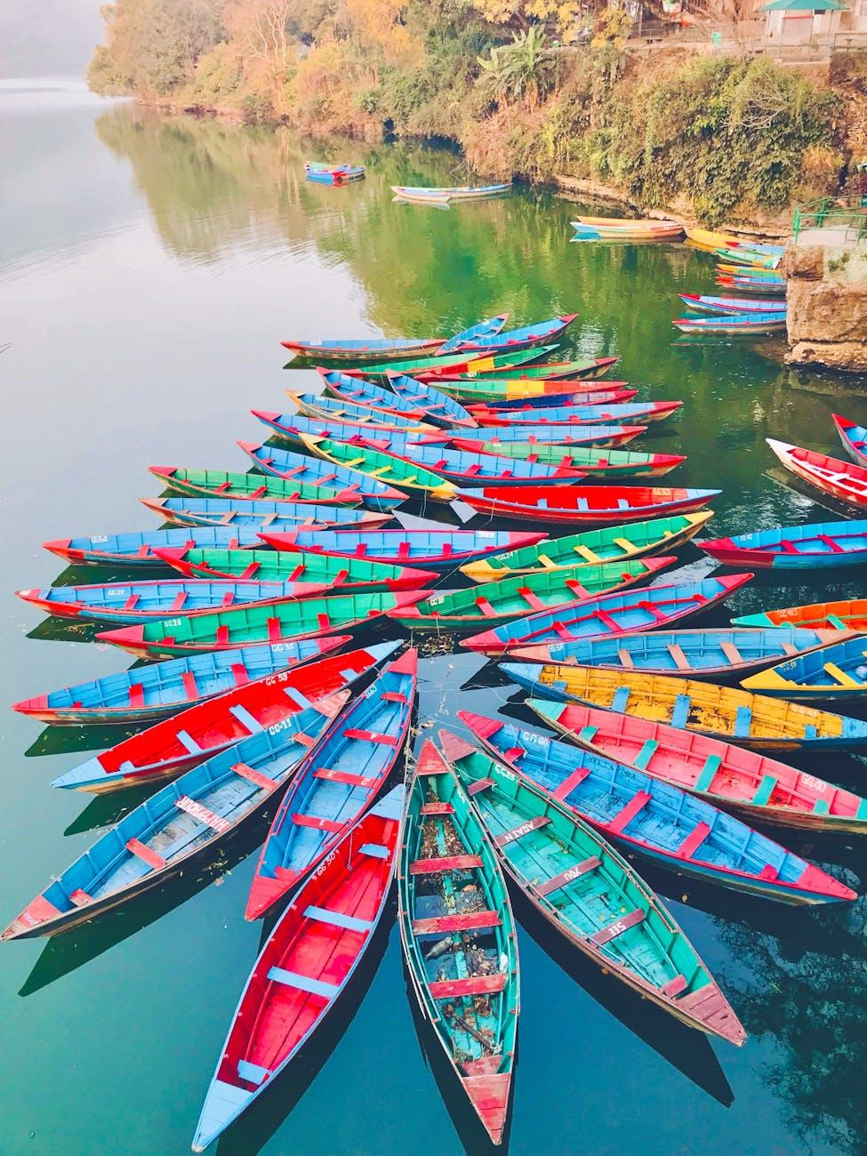 Chitwan Pokhara — Nepal