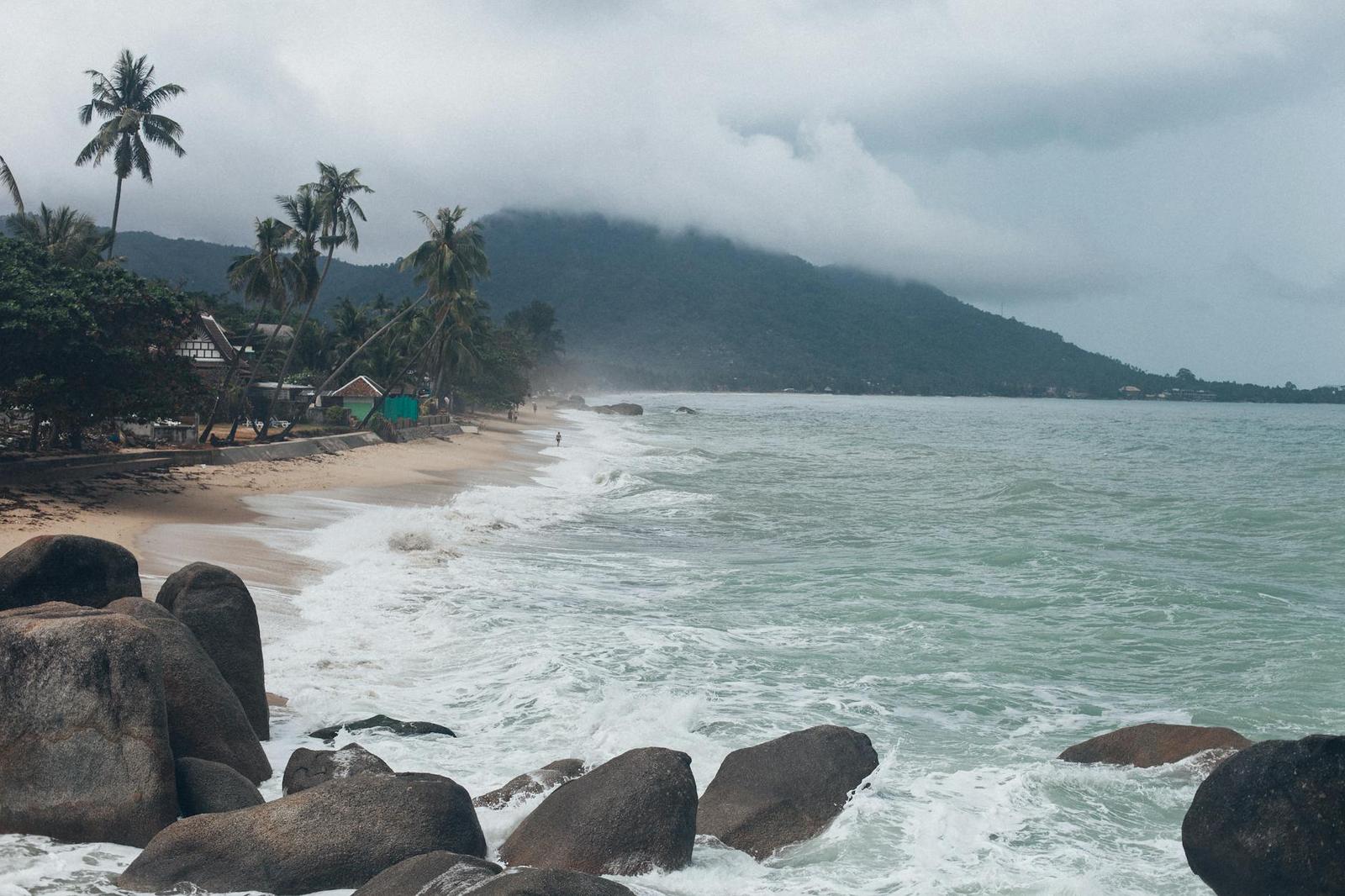Waves breaking on a rocky beach below palm trees with a misty hillside beyond