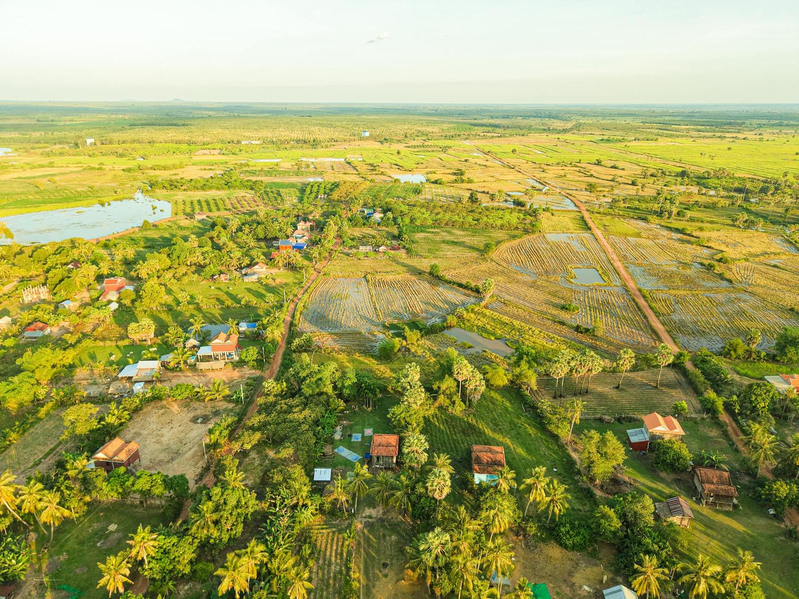 Aerial view of a rural village amid rice paddies and palm trees at golden hour