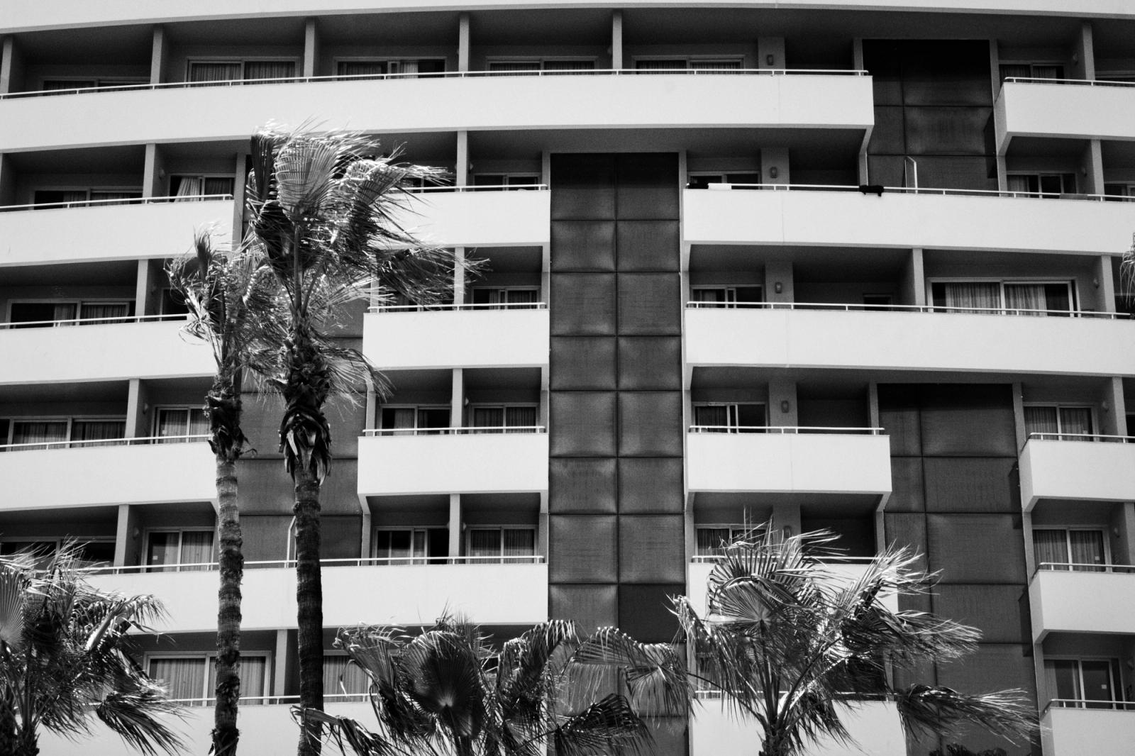 Contemporary hotel facade with palm trees in black and white captures urban architectural elegance