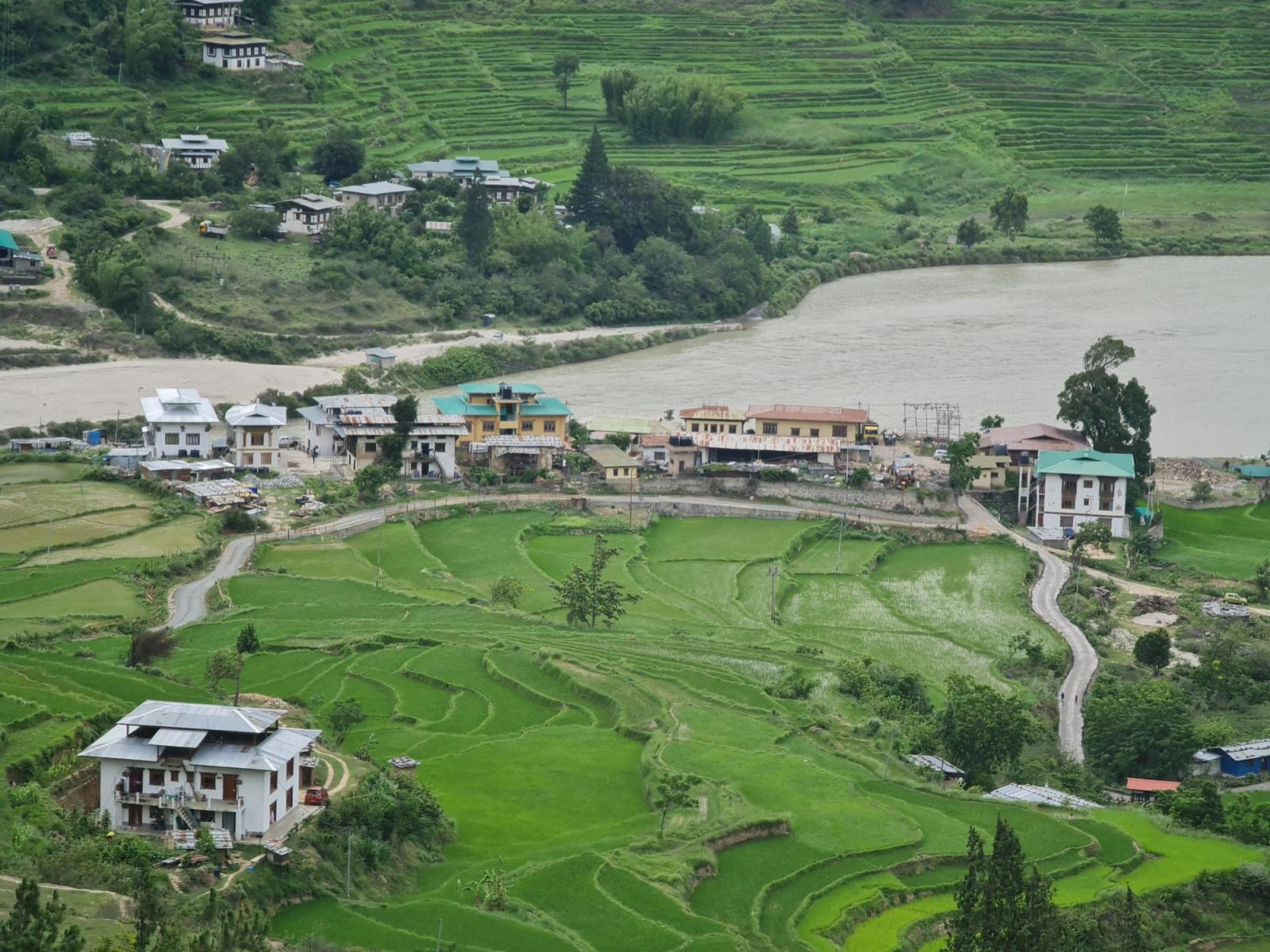 Lush green rice terraces and village alongside a serene river, showcasing rural beauty