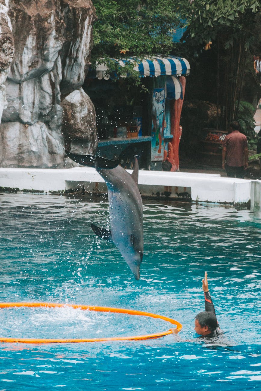 Safari World Marine Park — Thailand