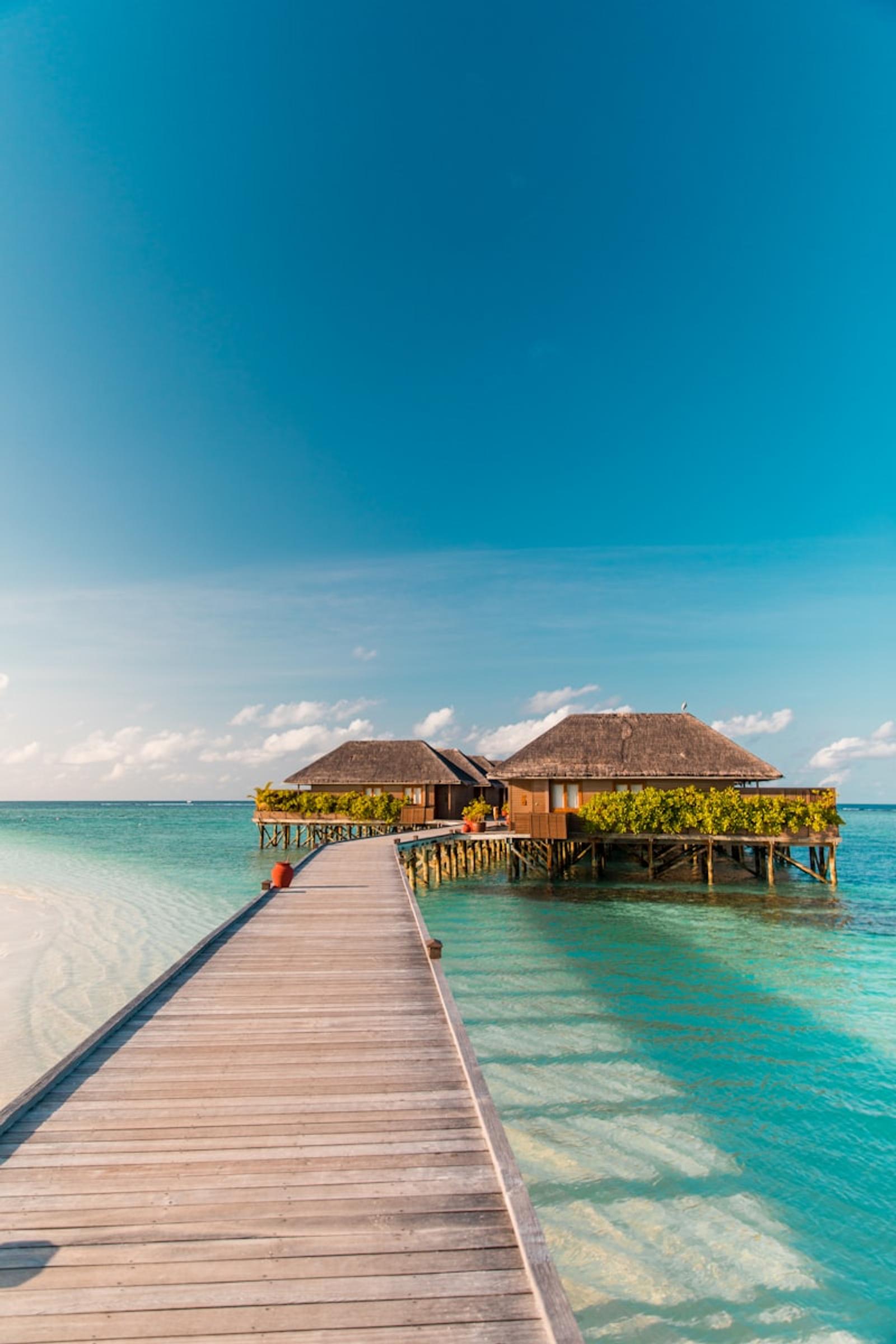 Maldives beach and reef
