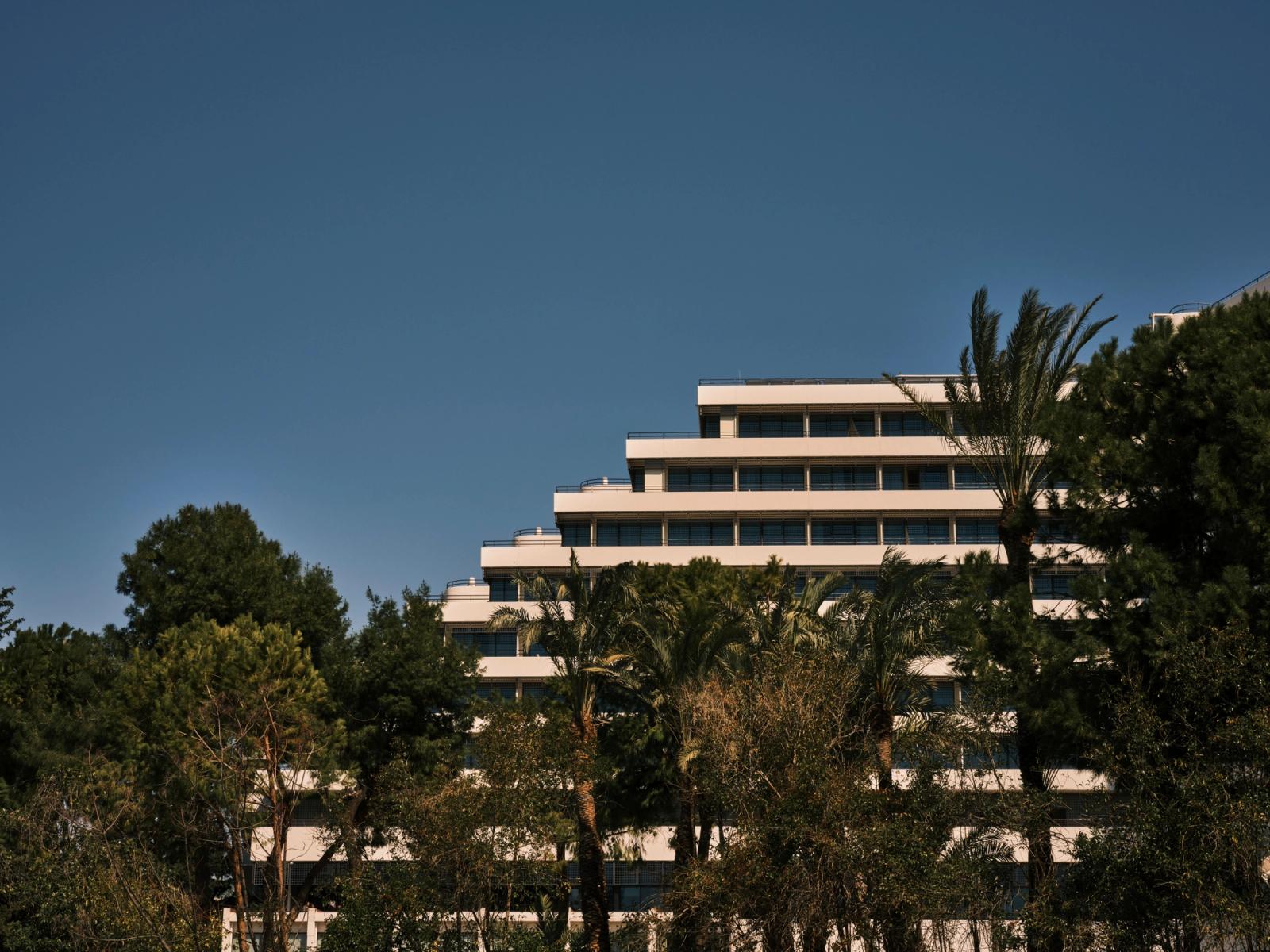 A modern hotel exterior amidst lush palm trees, set against a clear blue sky. Ideal for travel and architecture concepts