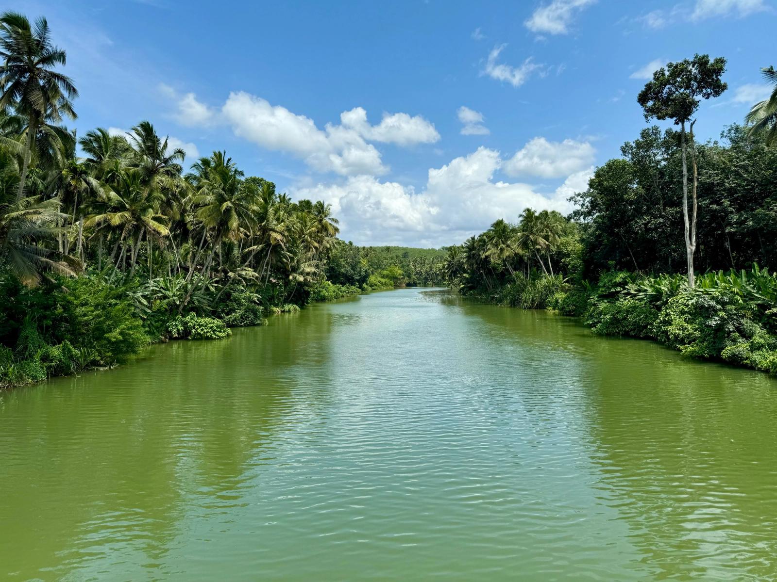 A serene river flowing through lush greenery under a bright blue sky in Kerala, India