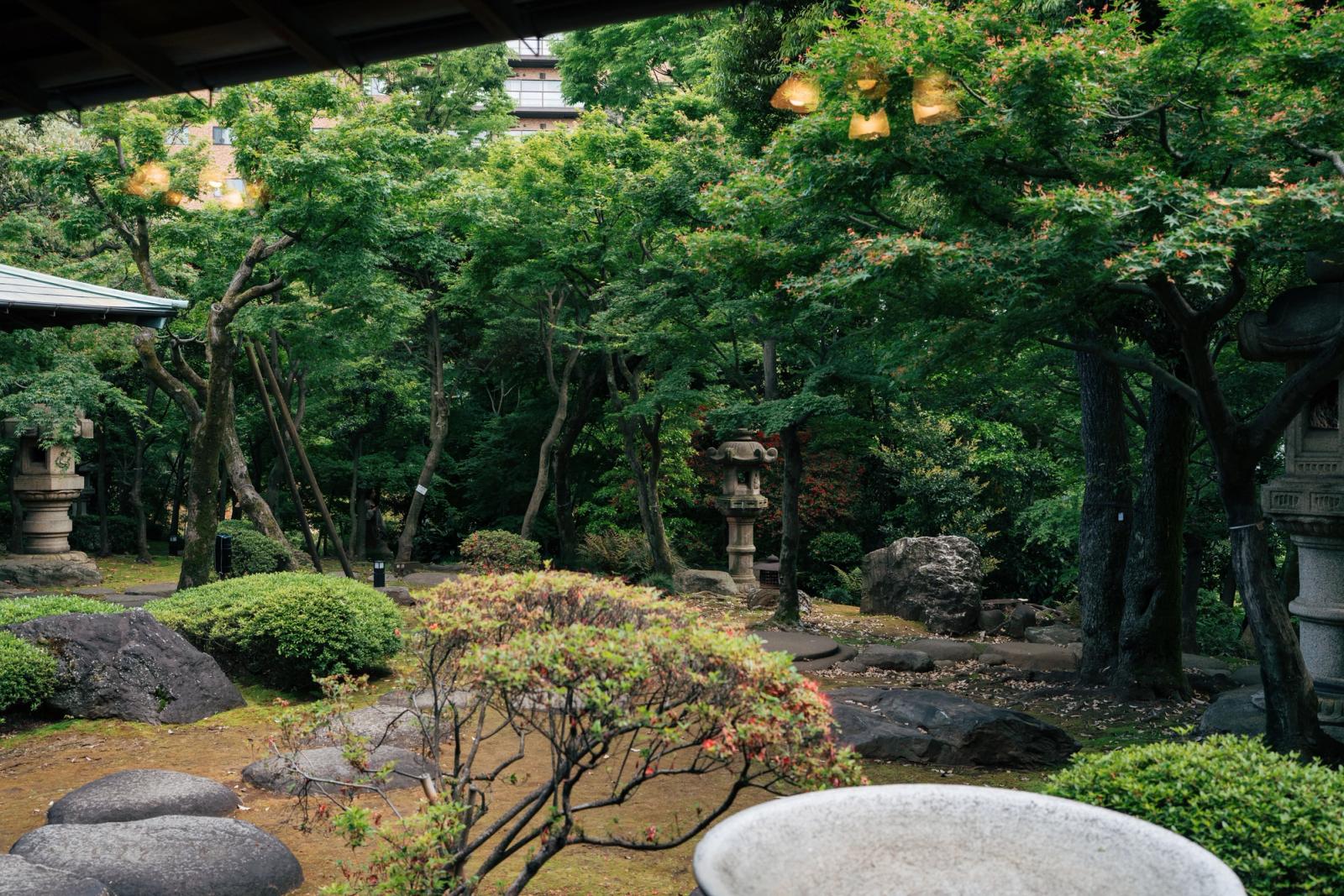 Beautiful traditional Japanese garden in Tokyo with lush greenery, ideal for relaxation