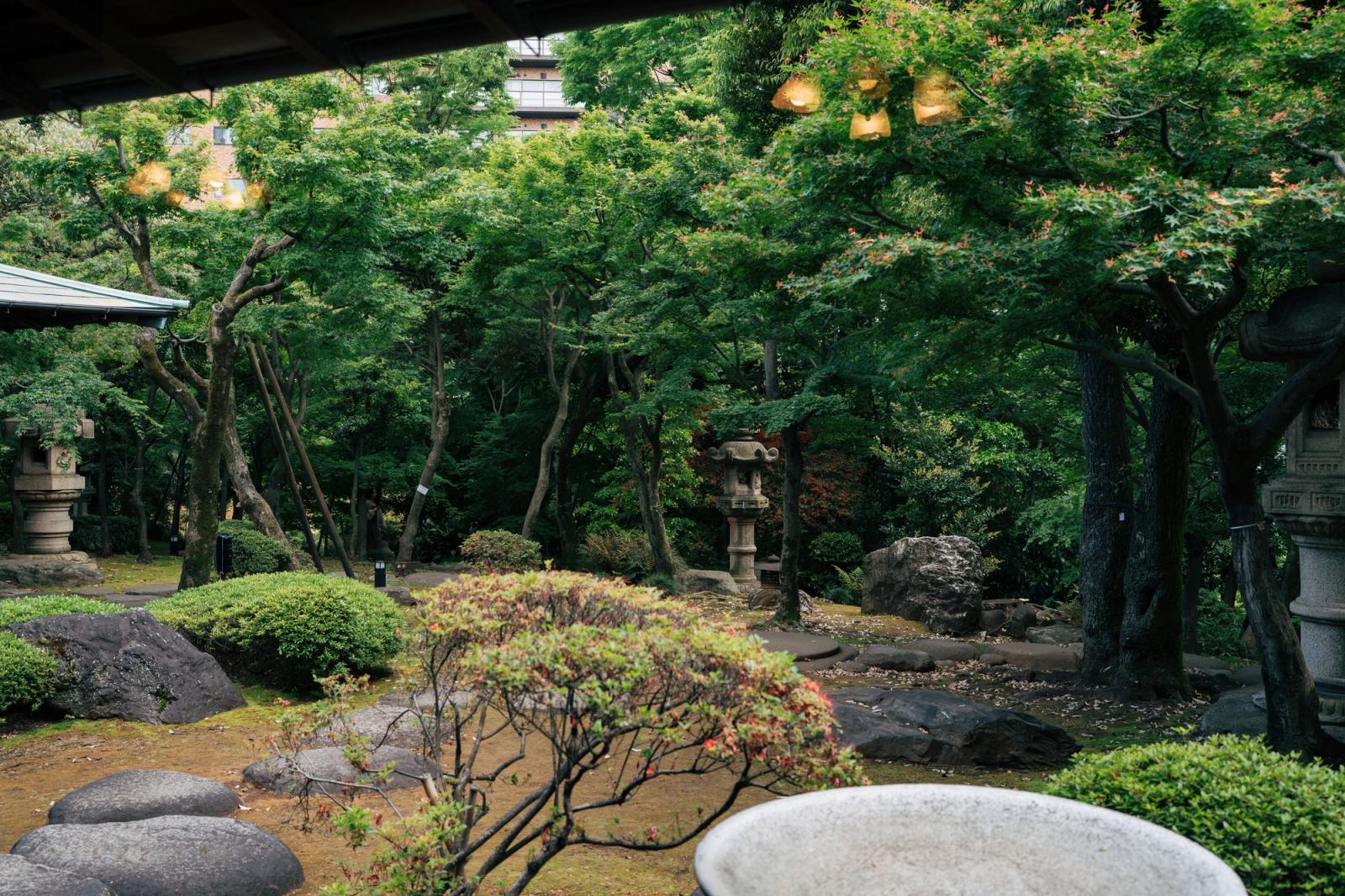 Beautiful traditional Japanese garden in Tokyo with lush greenery, ideal for relaxation