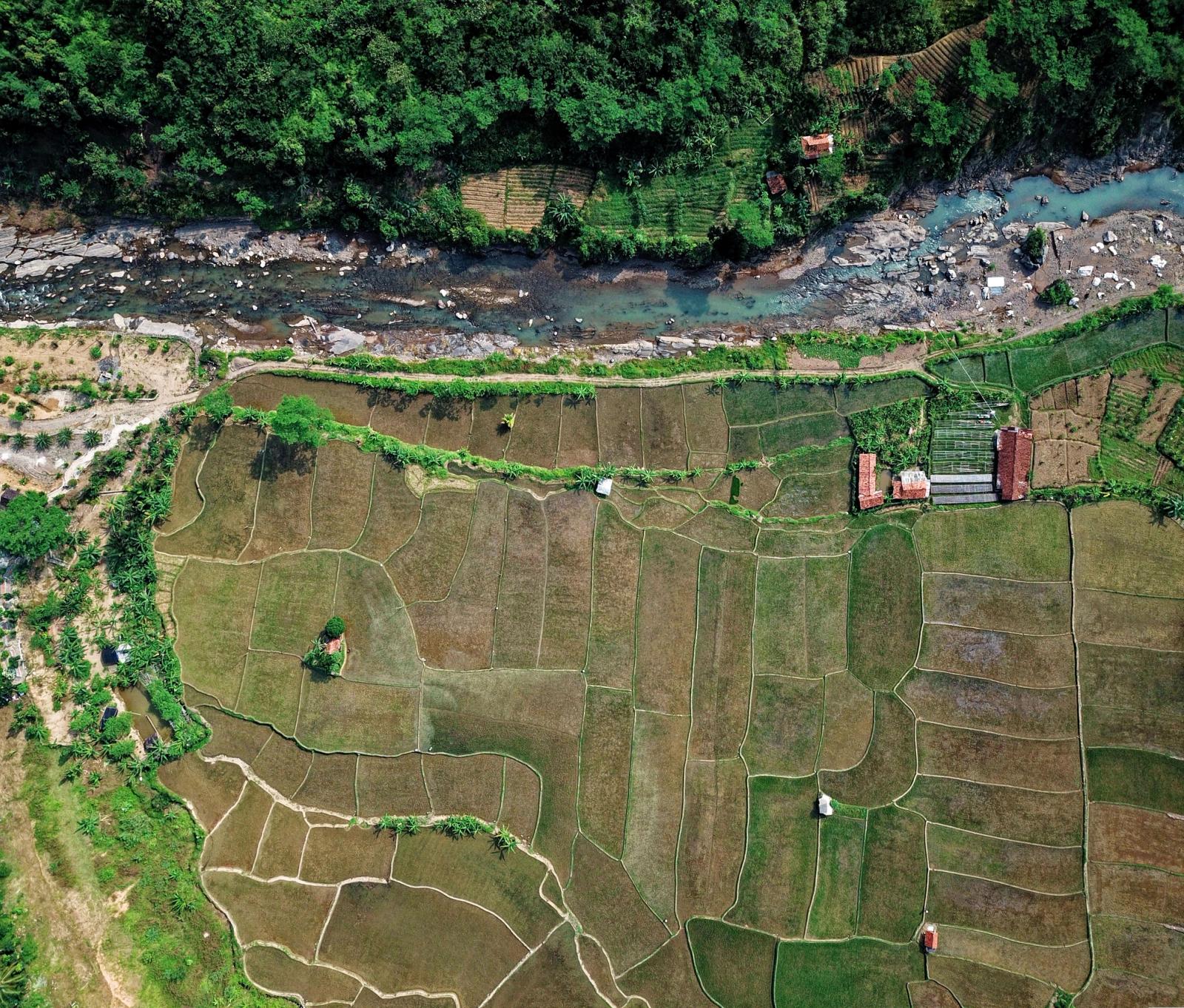 Aerial shot of rice terraces along a river in rural Klapanunggal, Indonesia