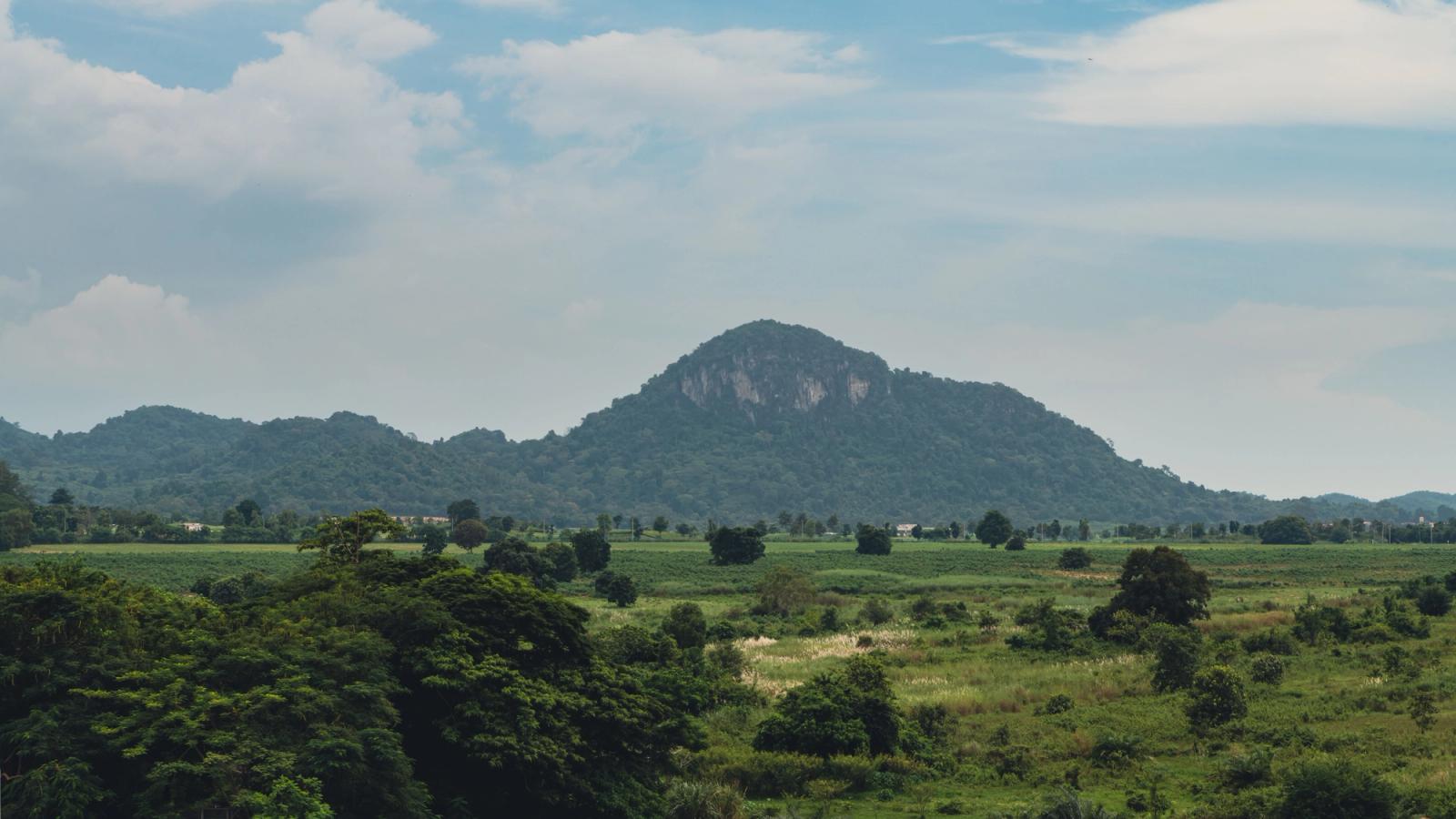 Expansive green hills and meadows in Pattaya, Thailand under a clear blue sky