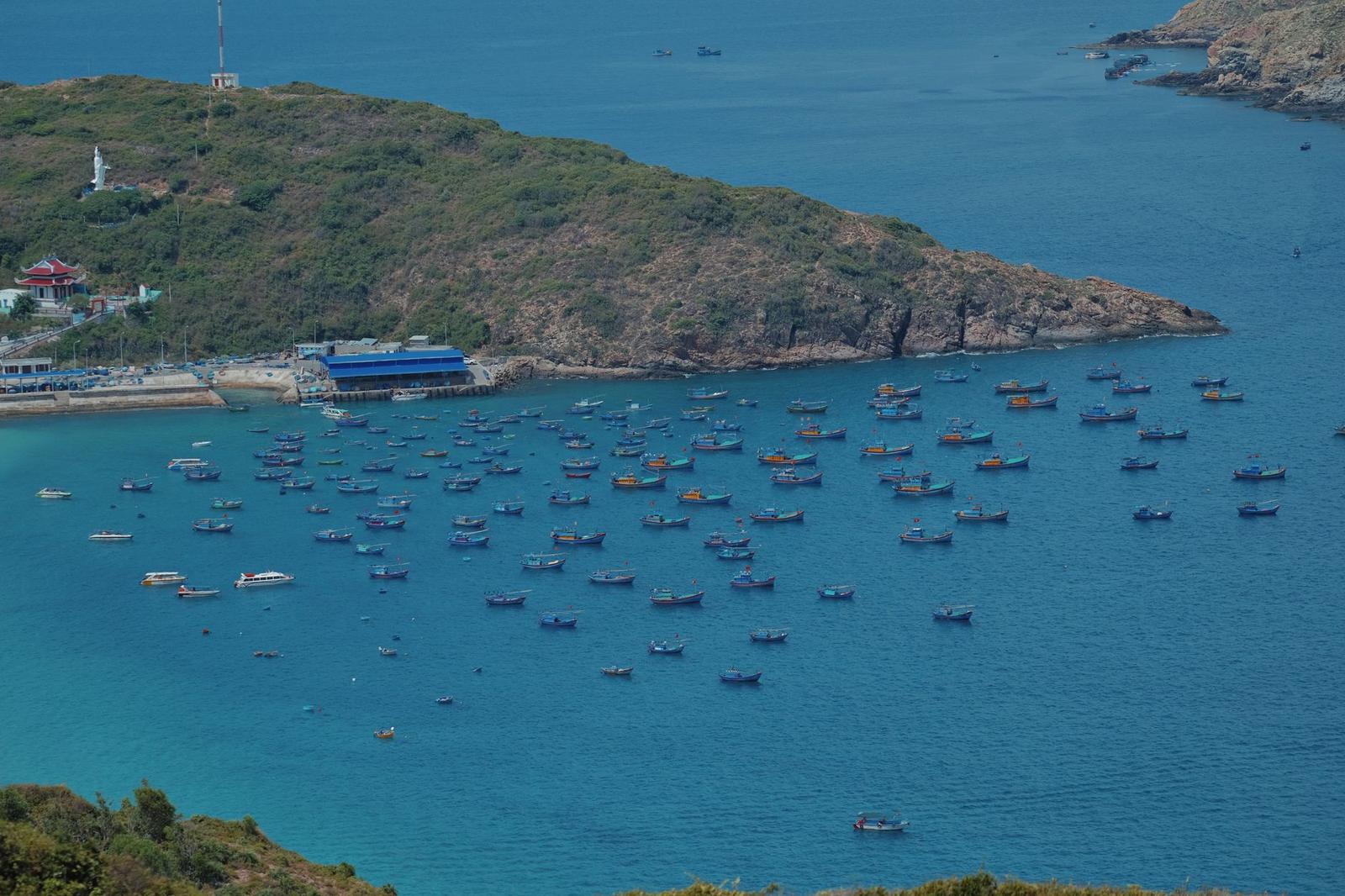 Dozens of fishing boats anchored in a sheltered bay beside a green headland