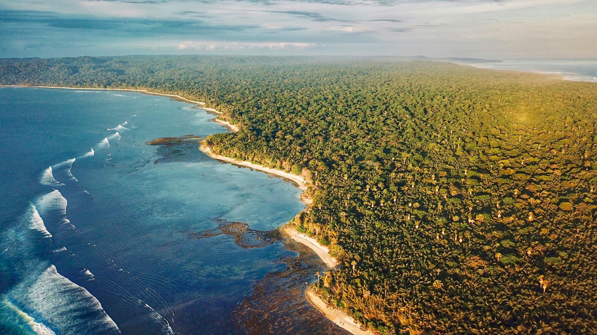 Aerial view of a jungle coastline meeting turquoise shallows